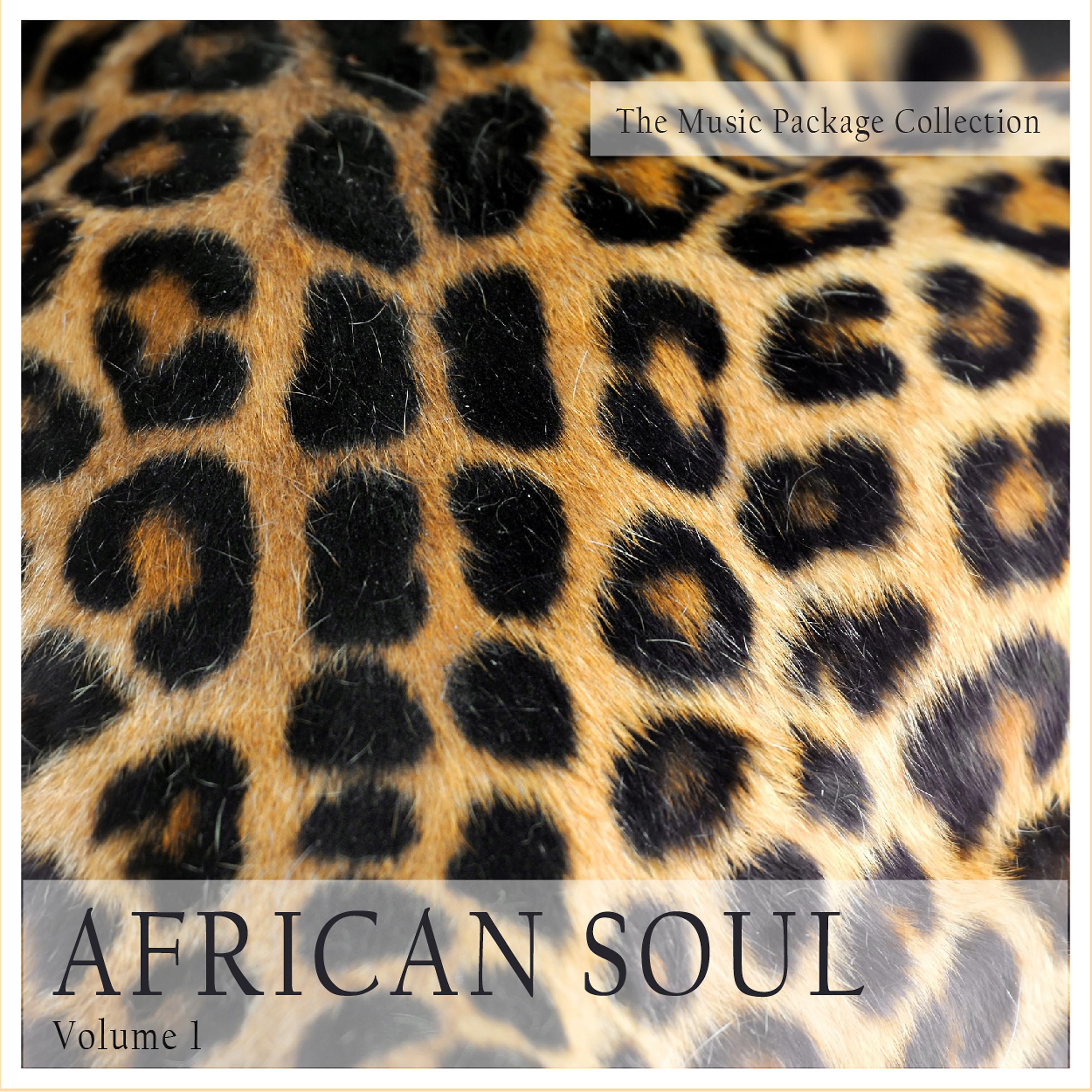 Постер альбома The Music Package Collection: African Soul, Vol. 1