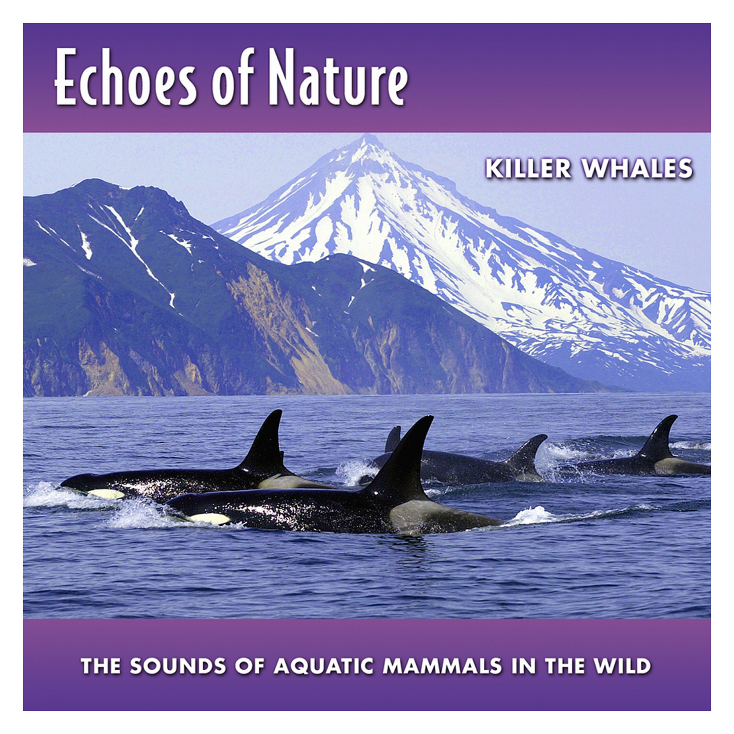 Echoes Of Nature - Johnstone Strait