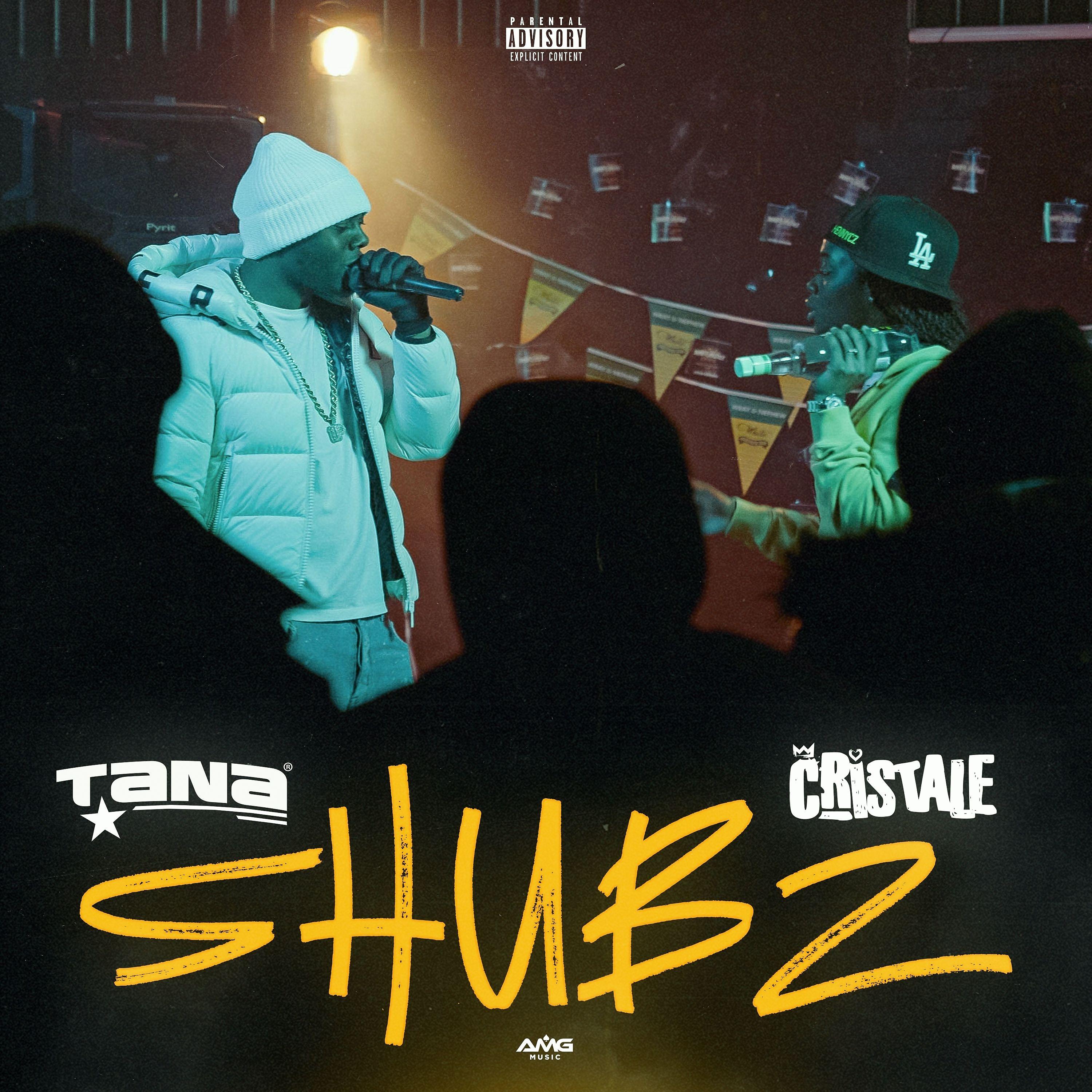Постер альбома Shubz
