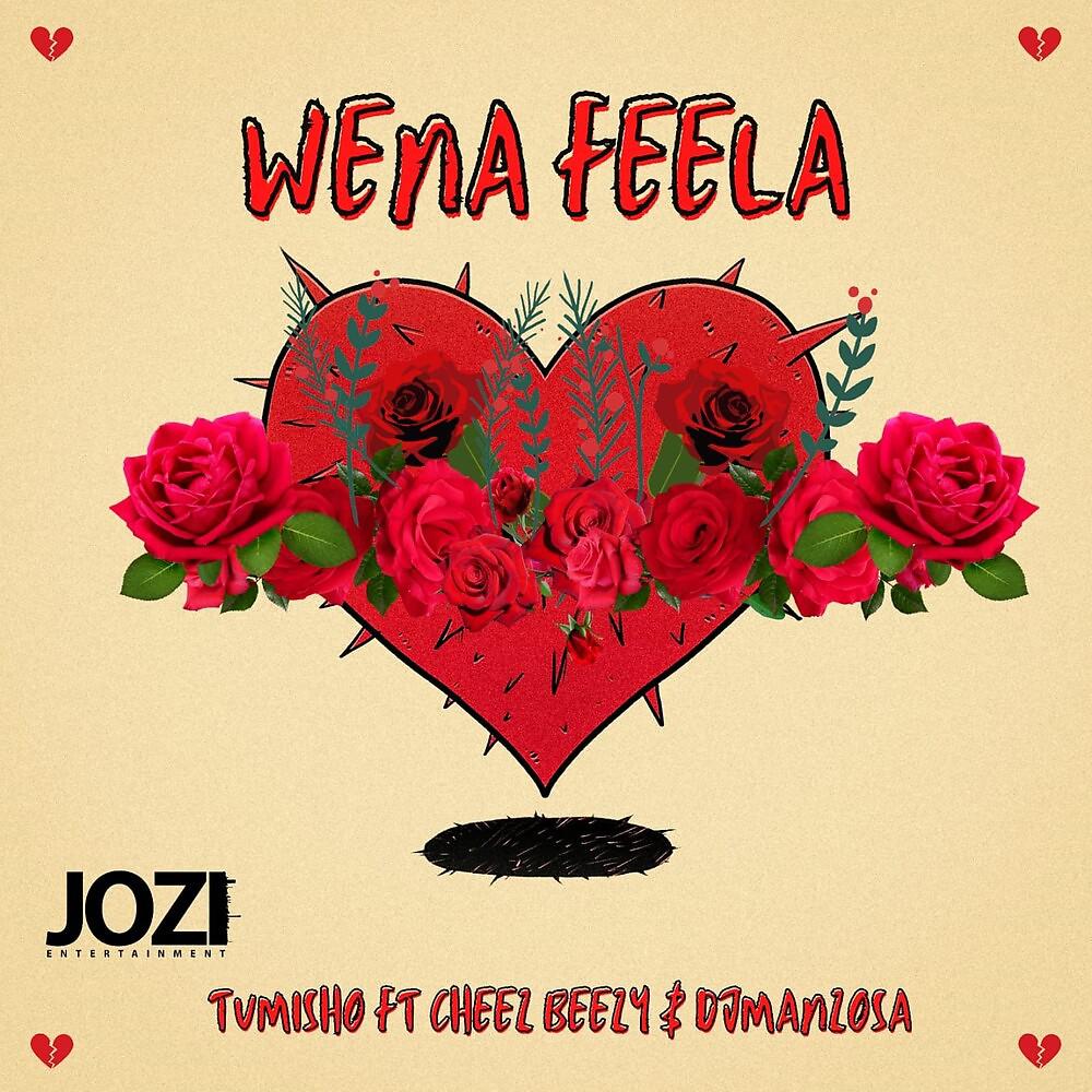 Постер альбома Wena Feela