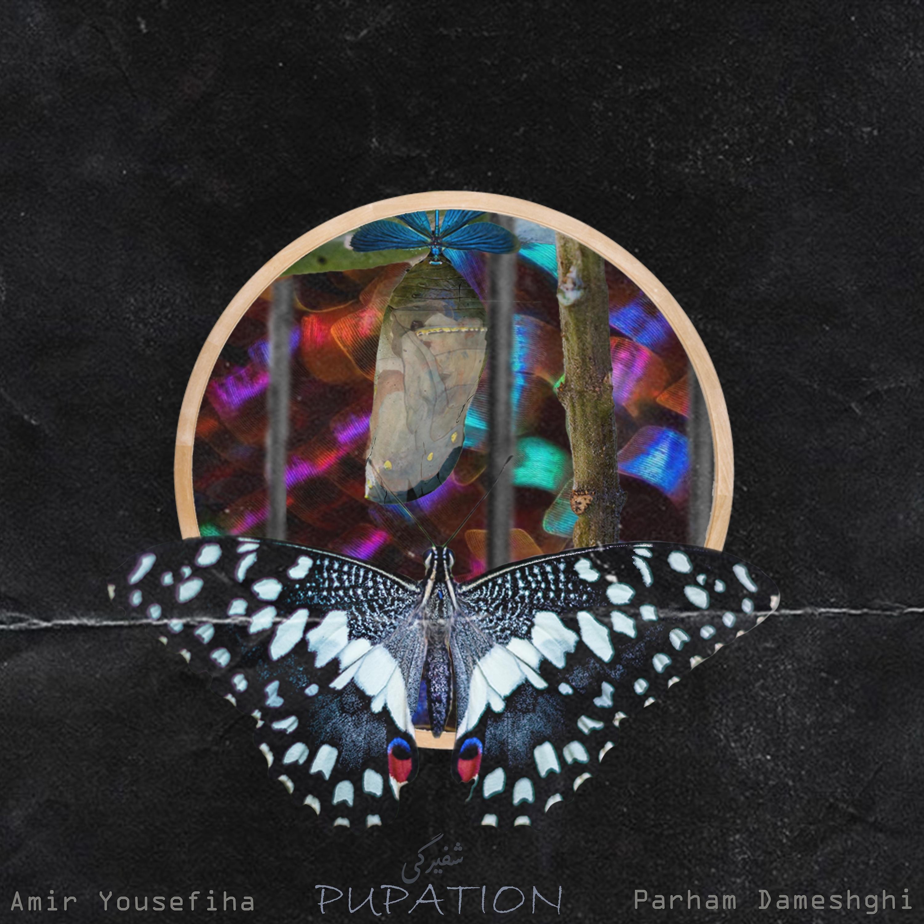 Постер альбома Pupation