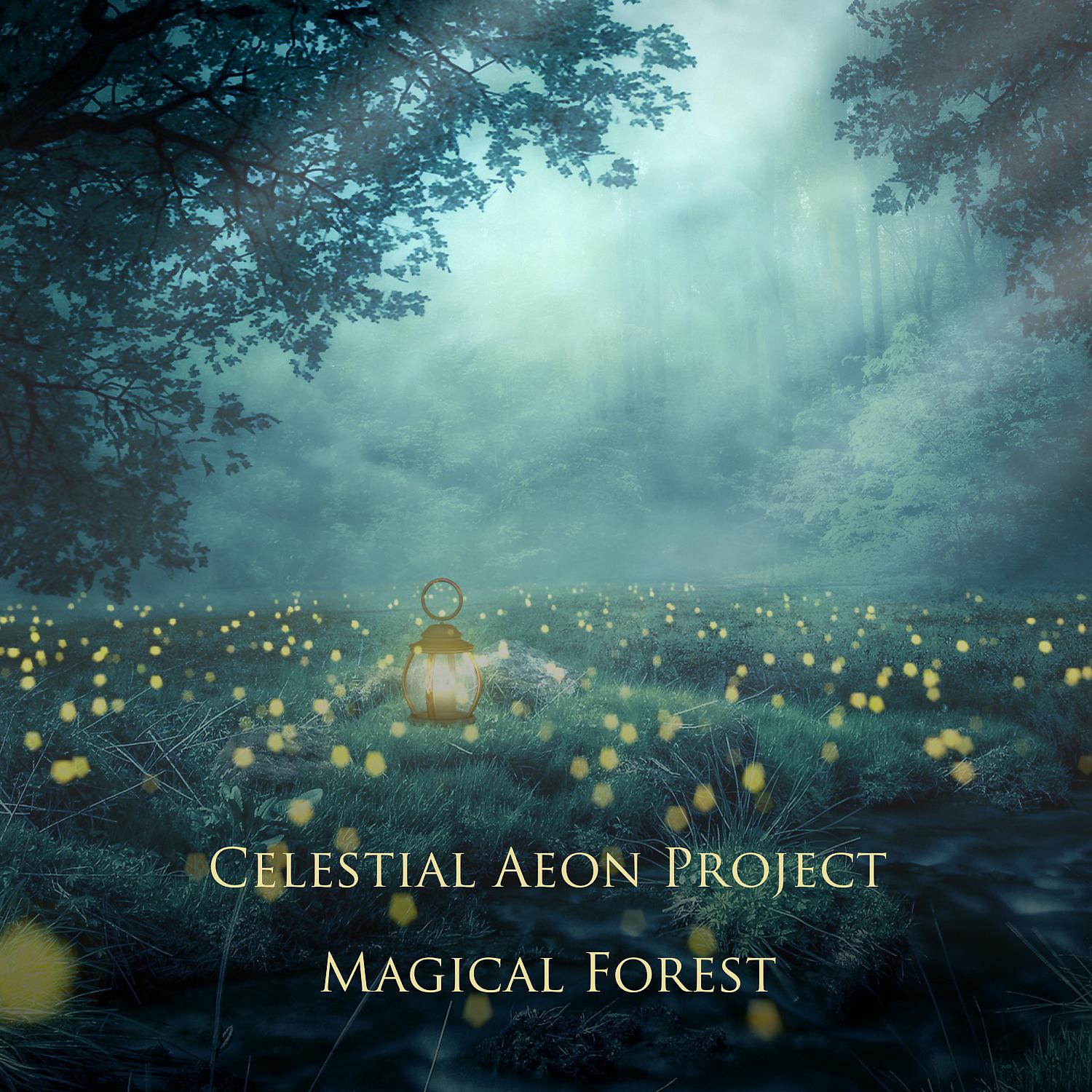 Постер альбома Magical Forest