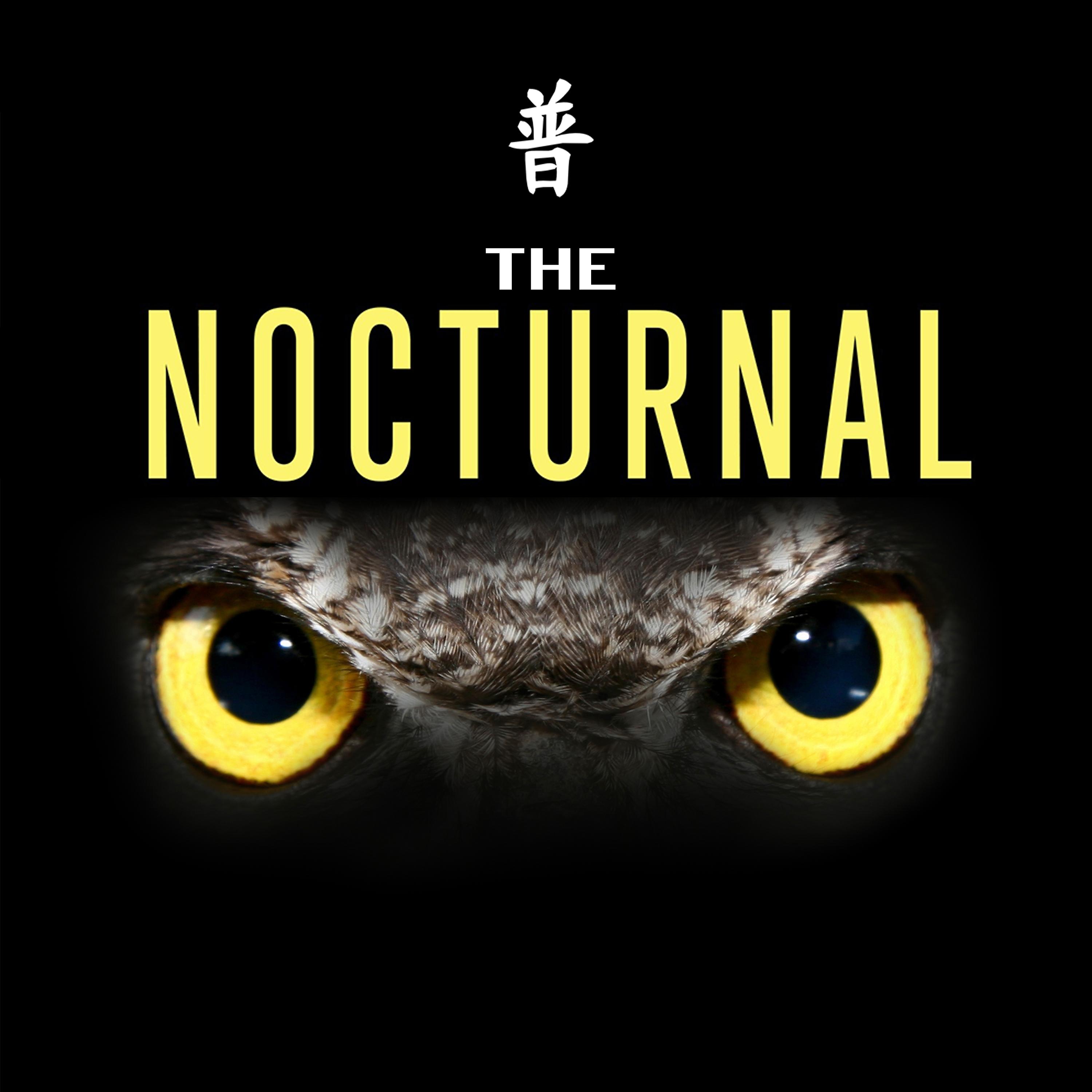 Постер альбома The Nocturnal