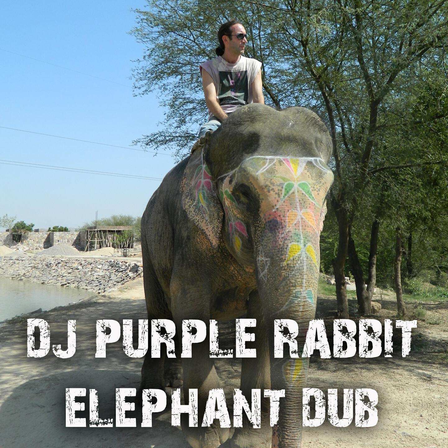 DJ Purple Rabbit - Majestica Dub (Jungle Mix)