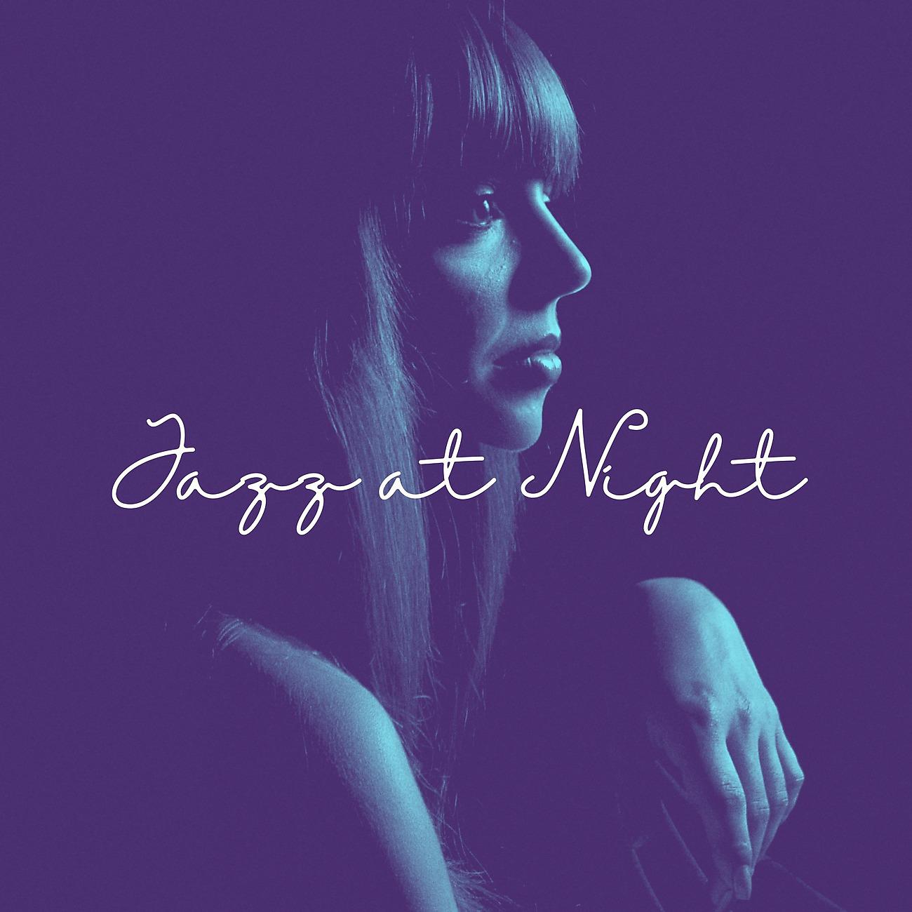 Постер альбома Jazz at Night