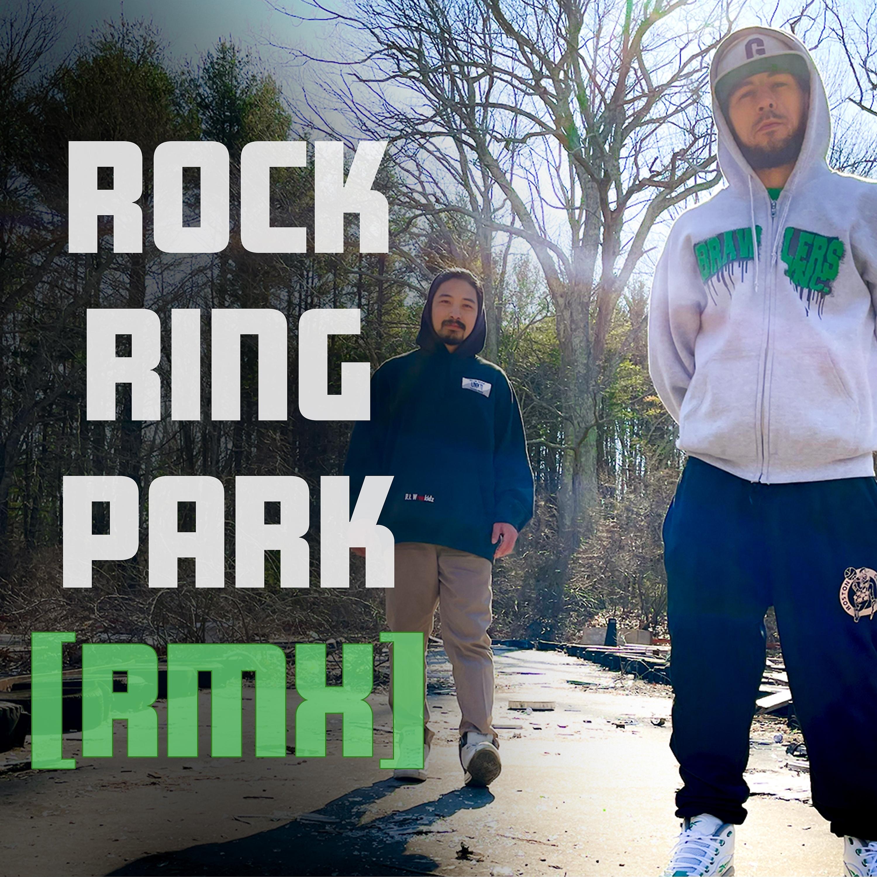 Постер альбома Rock Ring Park (Remix)
