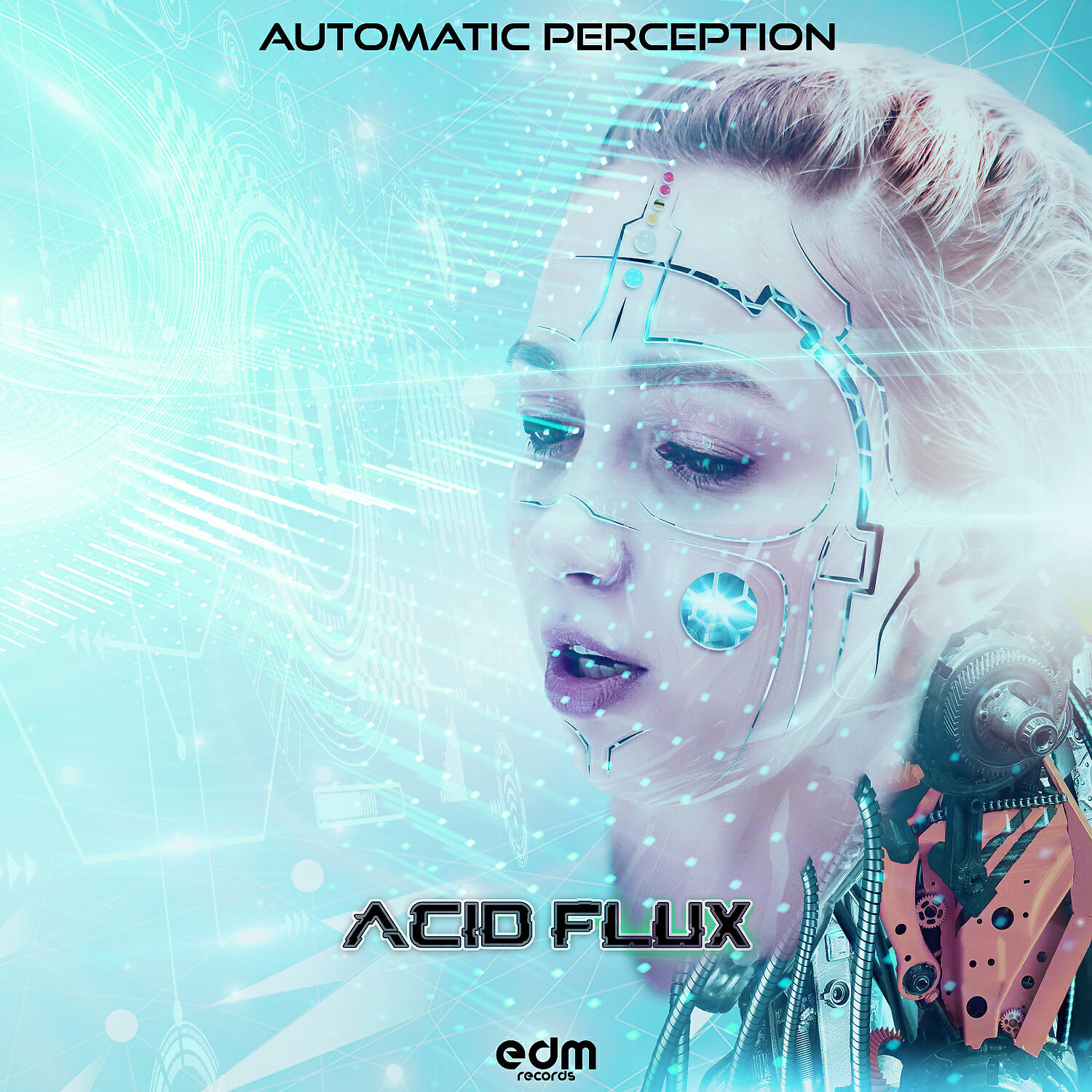 Acid Flux - Flipflap