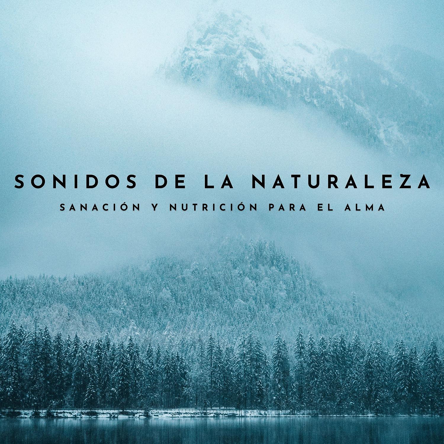 Постер альбома Sonidos De La Naturaleza: Sanación Y Nutrición Para El Alma