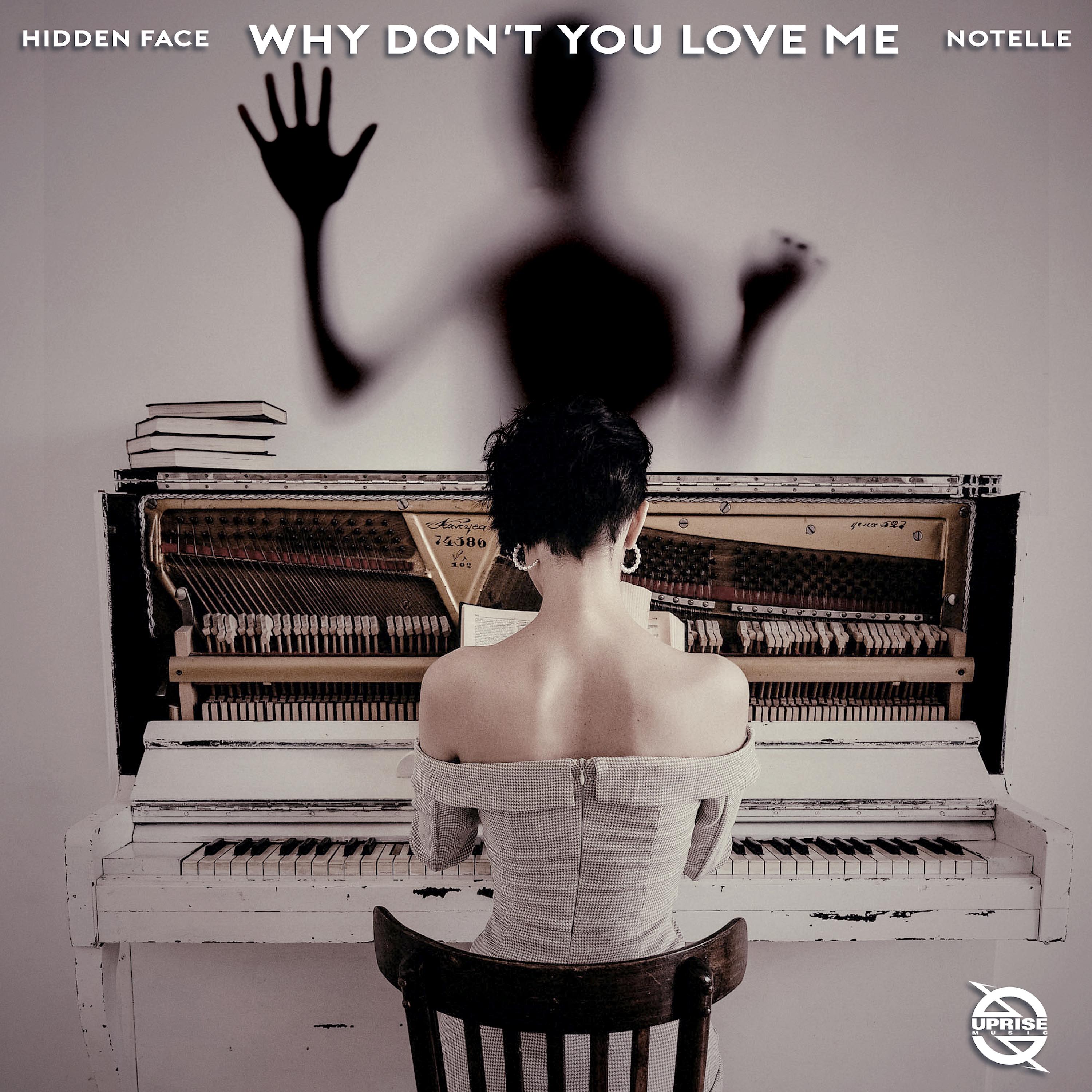 Постер альбома Why Don't You Love Me (feat. Notelle)