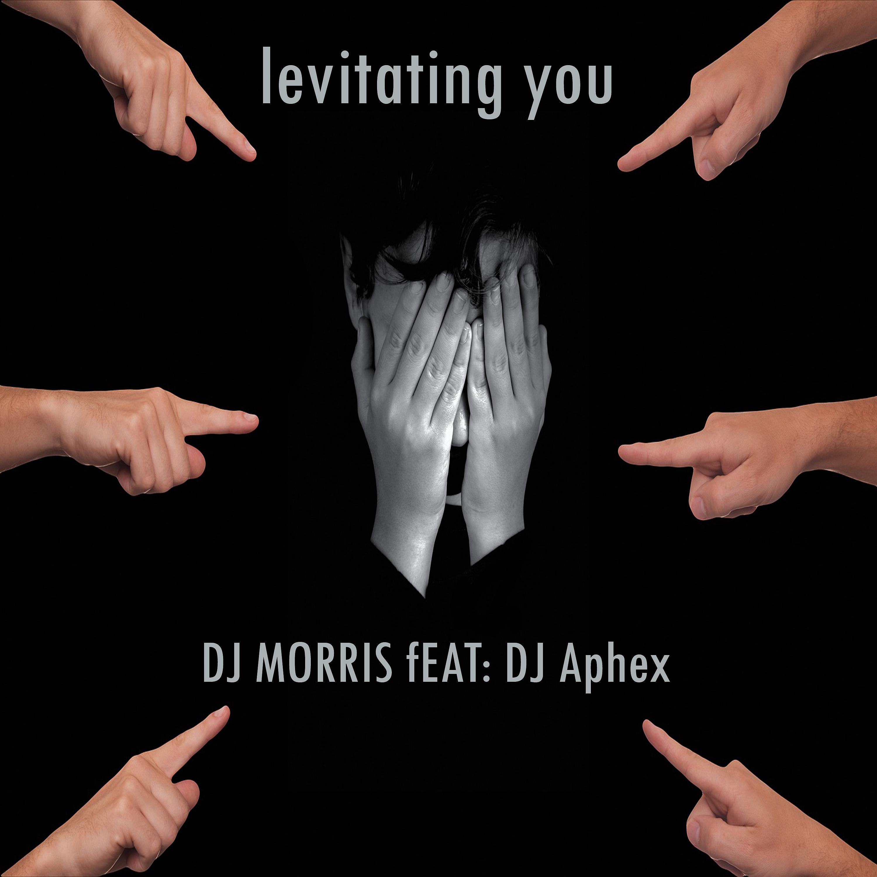 Постер альбома Levitating You