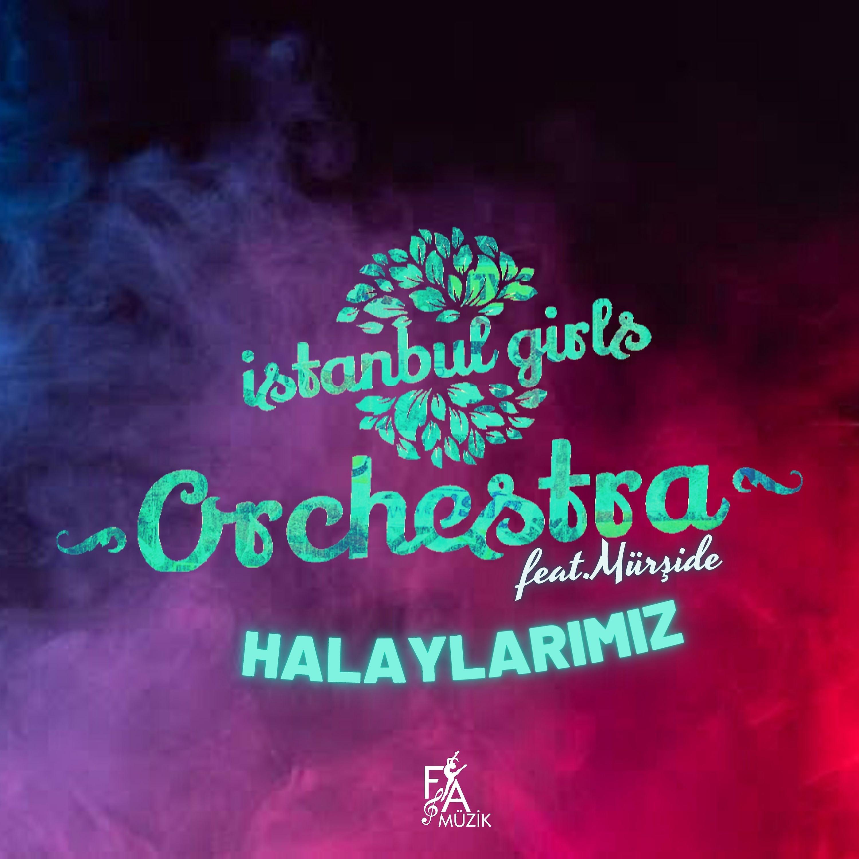 Постер альбома Halaylarımız