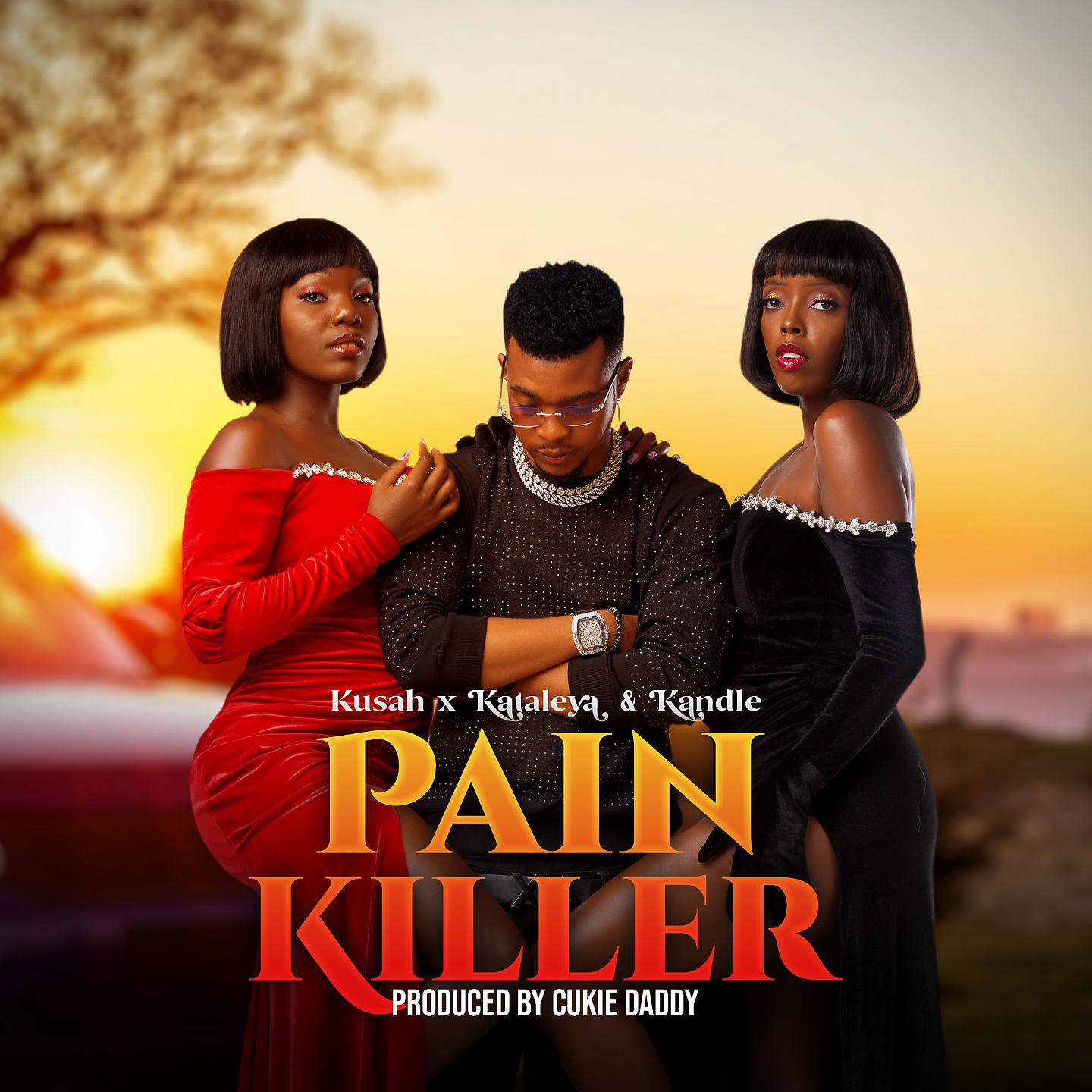 Постер альбома Pain Killer