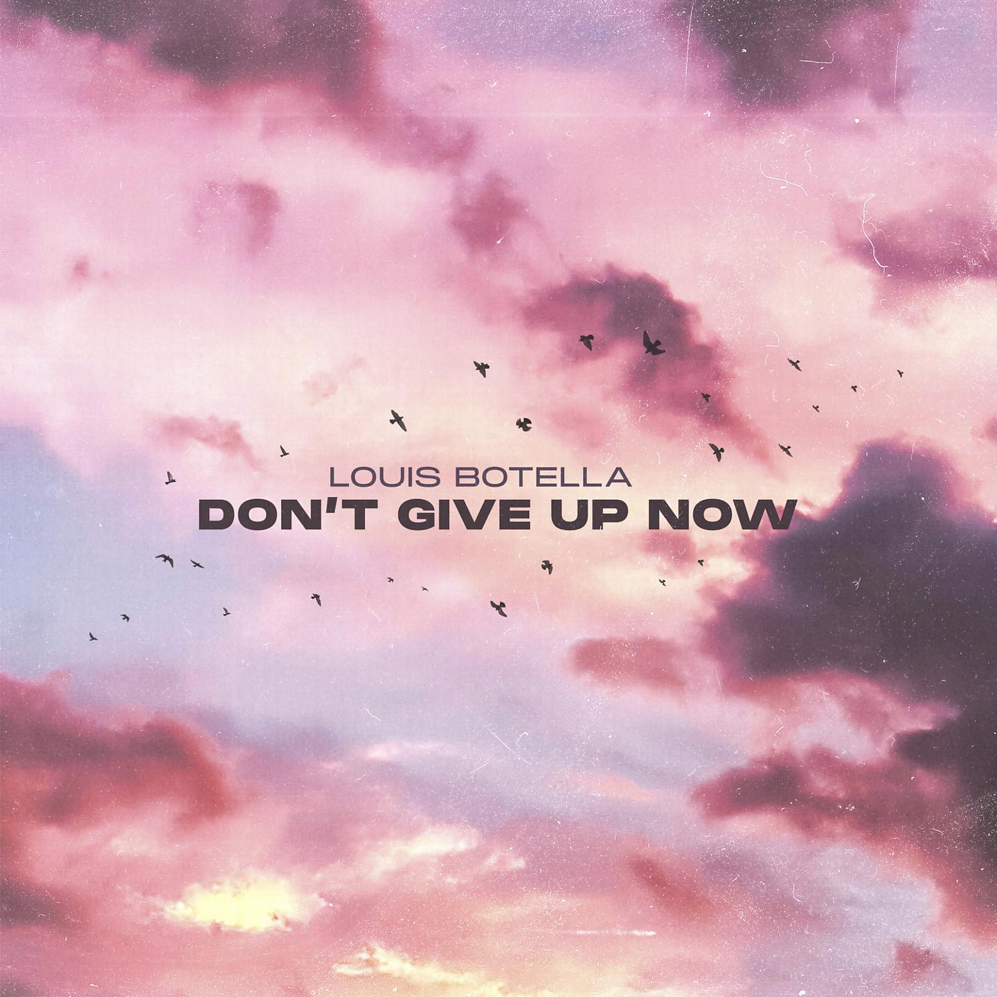 Постер альбома Don't Give Up Now