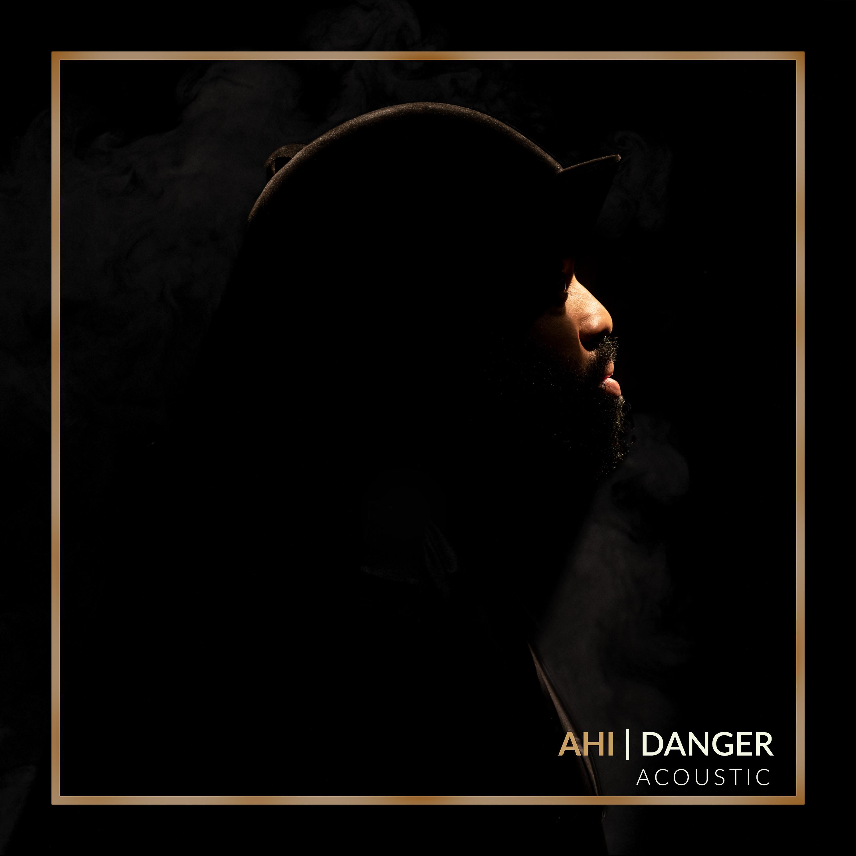 Постер альбома Danger (Acoustic)