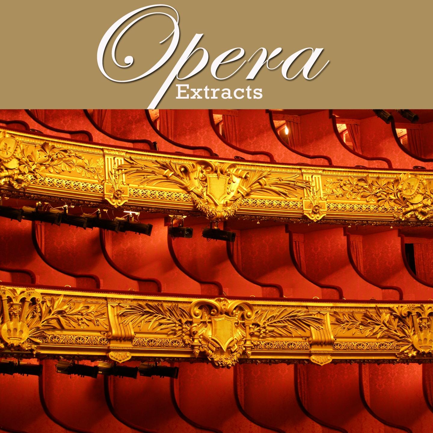 Постер альбома Opera Extracts