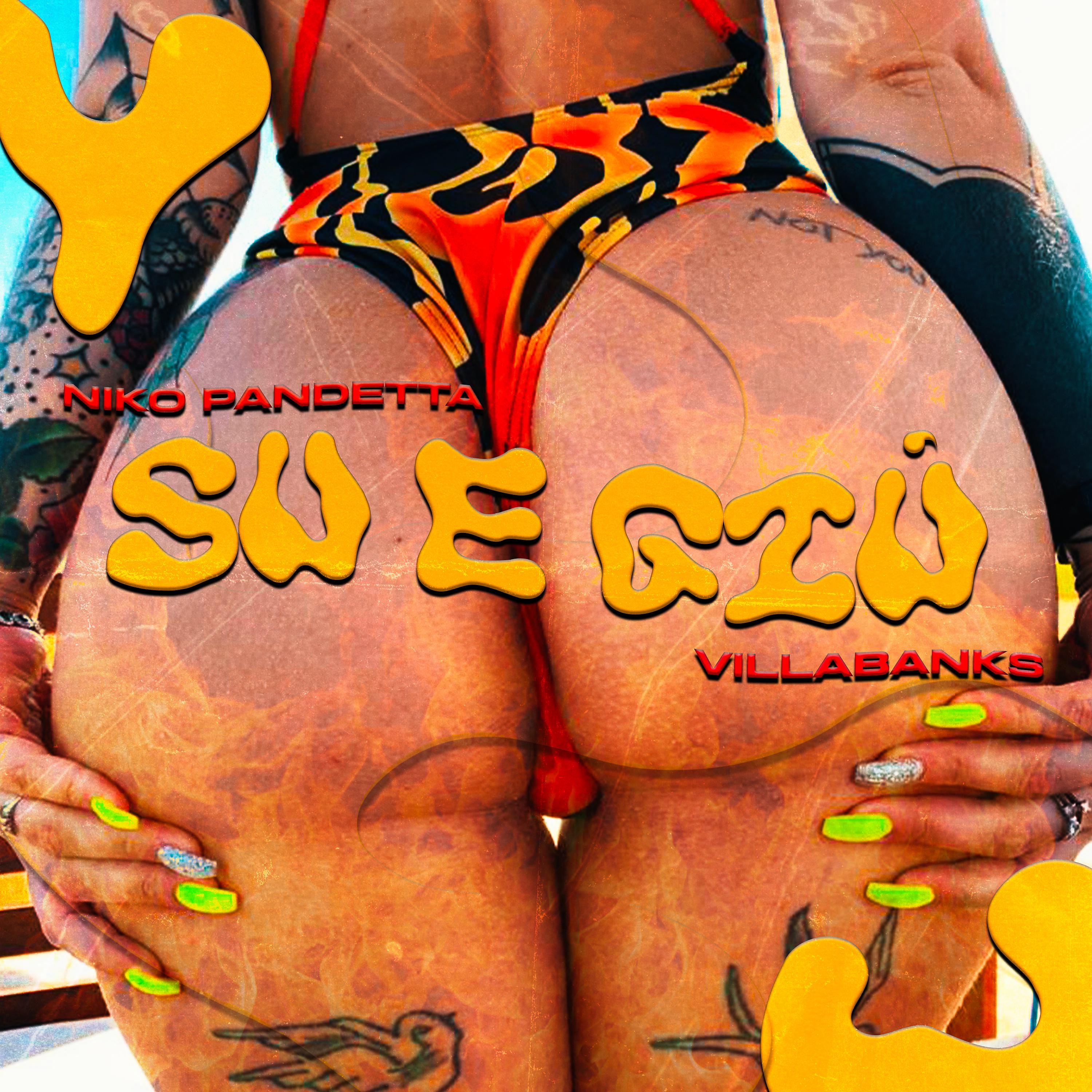 Постер альбома Su e Giù (feat. VillaBanks)