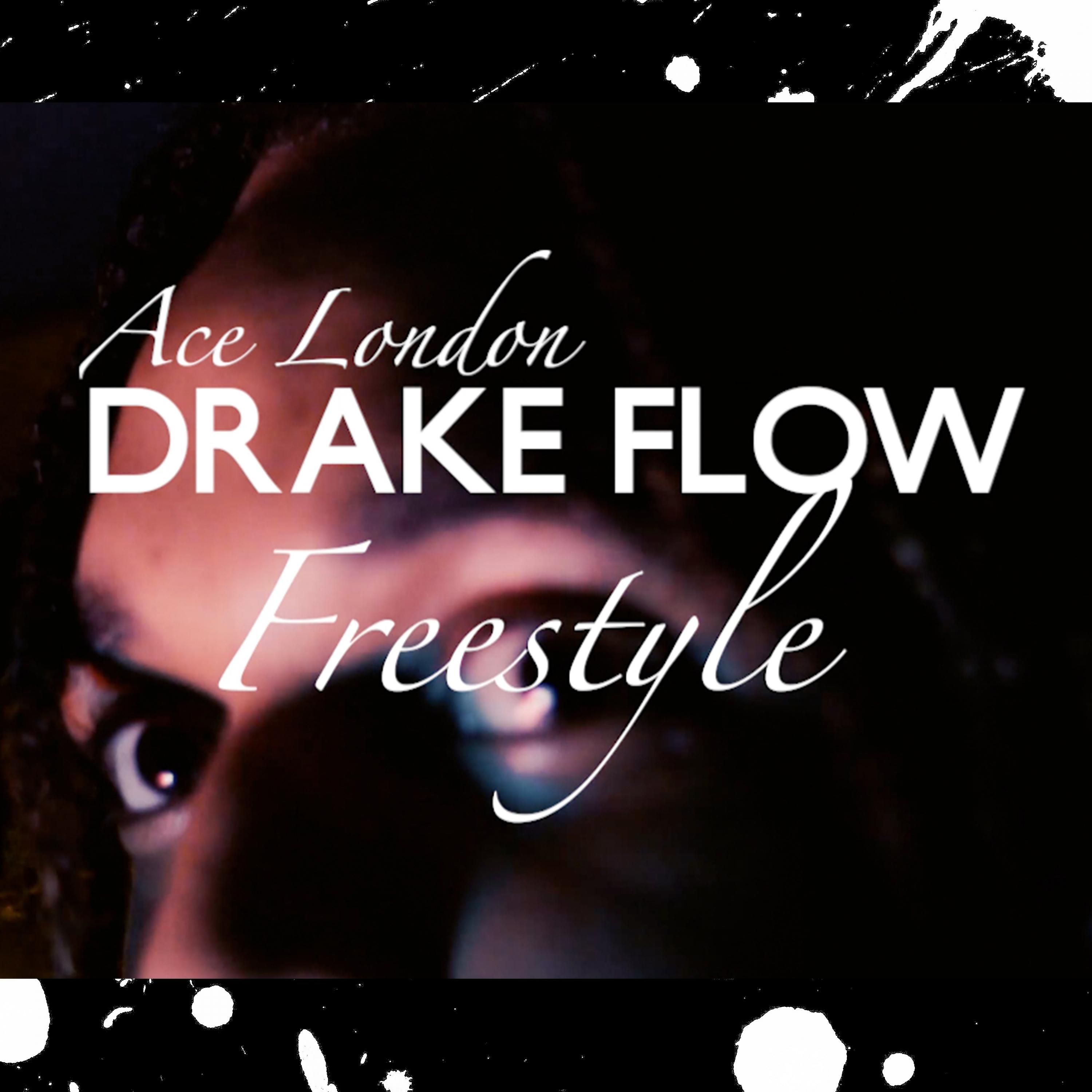 Постер альбома Drake Flow (Freestyle)