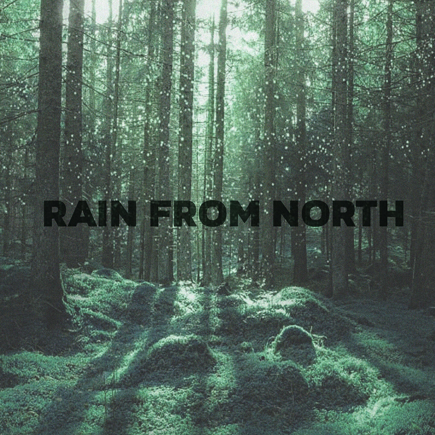Nordic Ambient - Soft Rain On Leafs