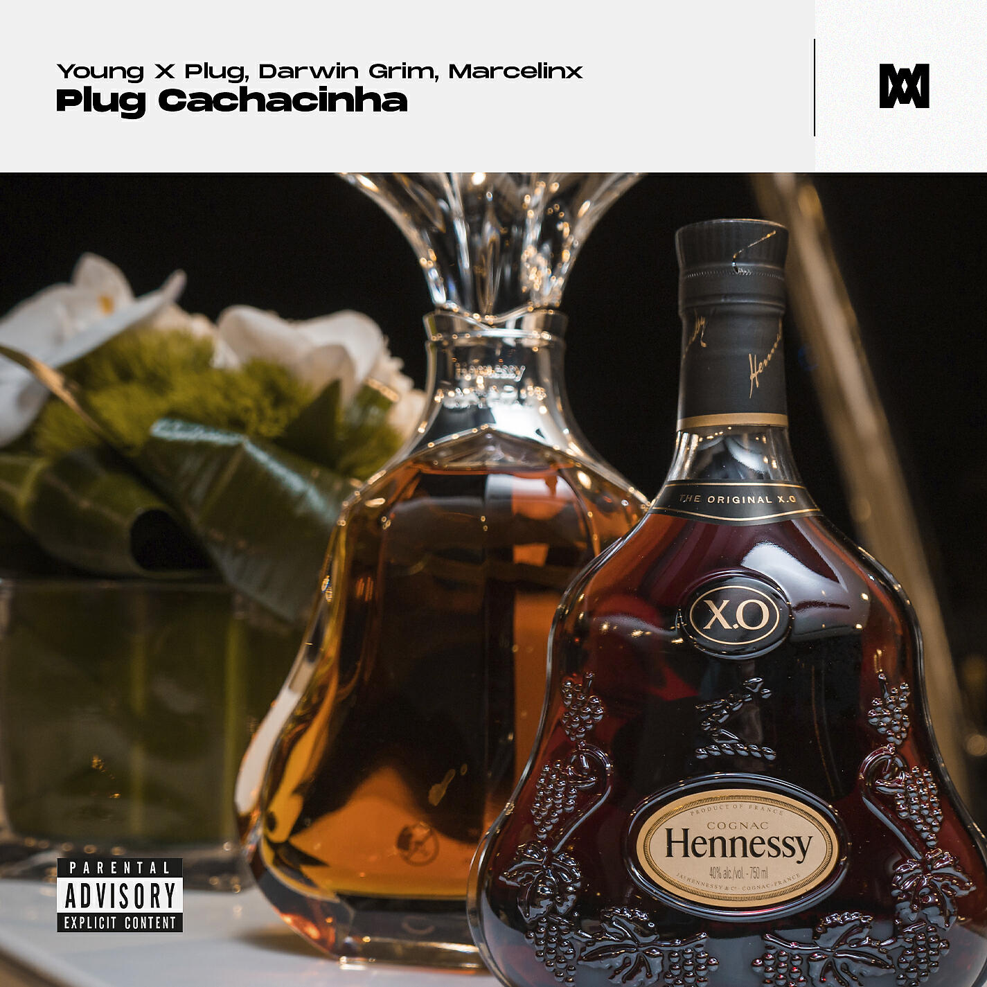 Young X Plug - Plug Cachacinha