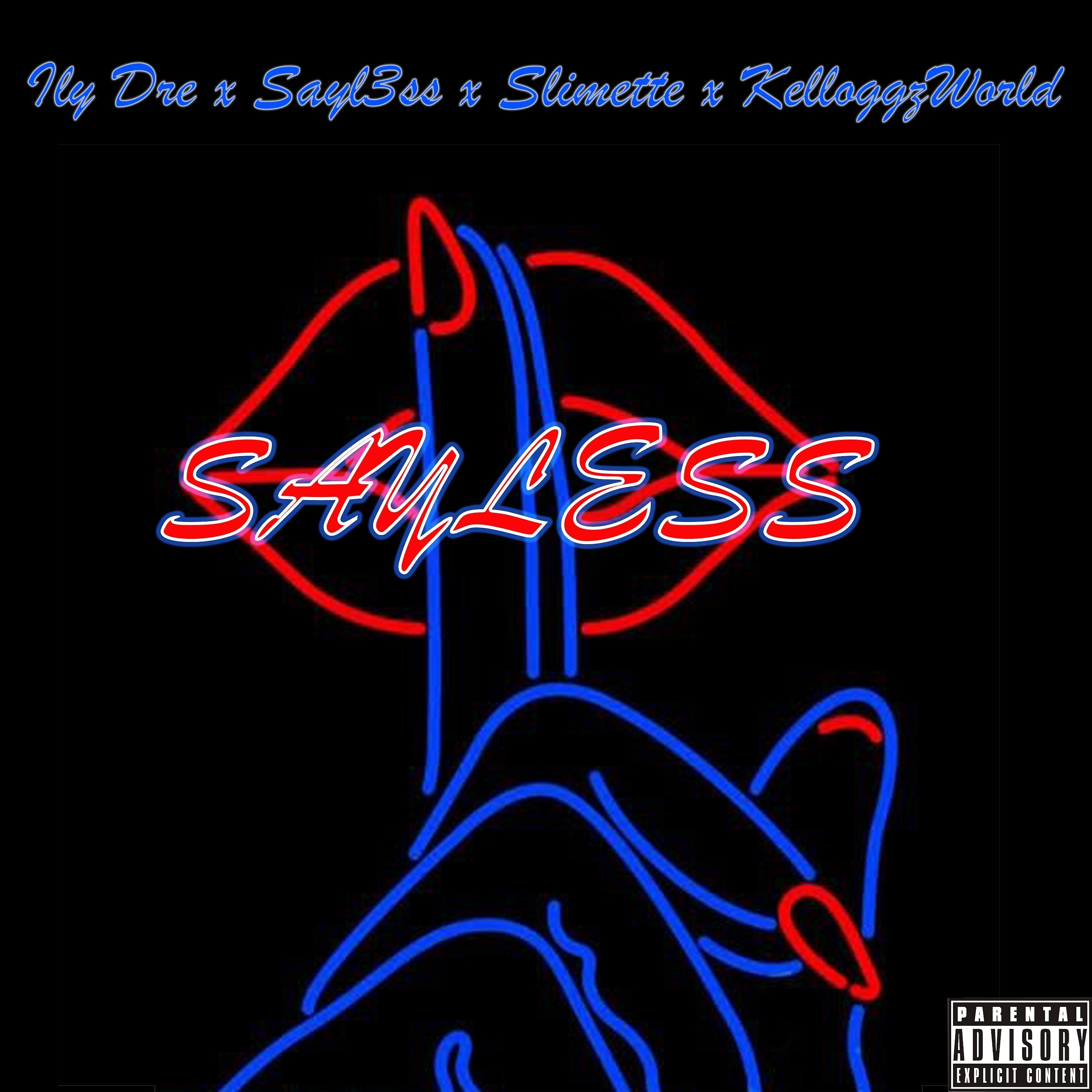 Постер альбома Sayless
