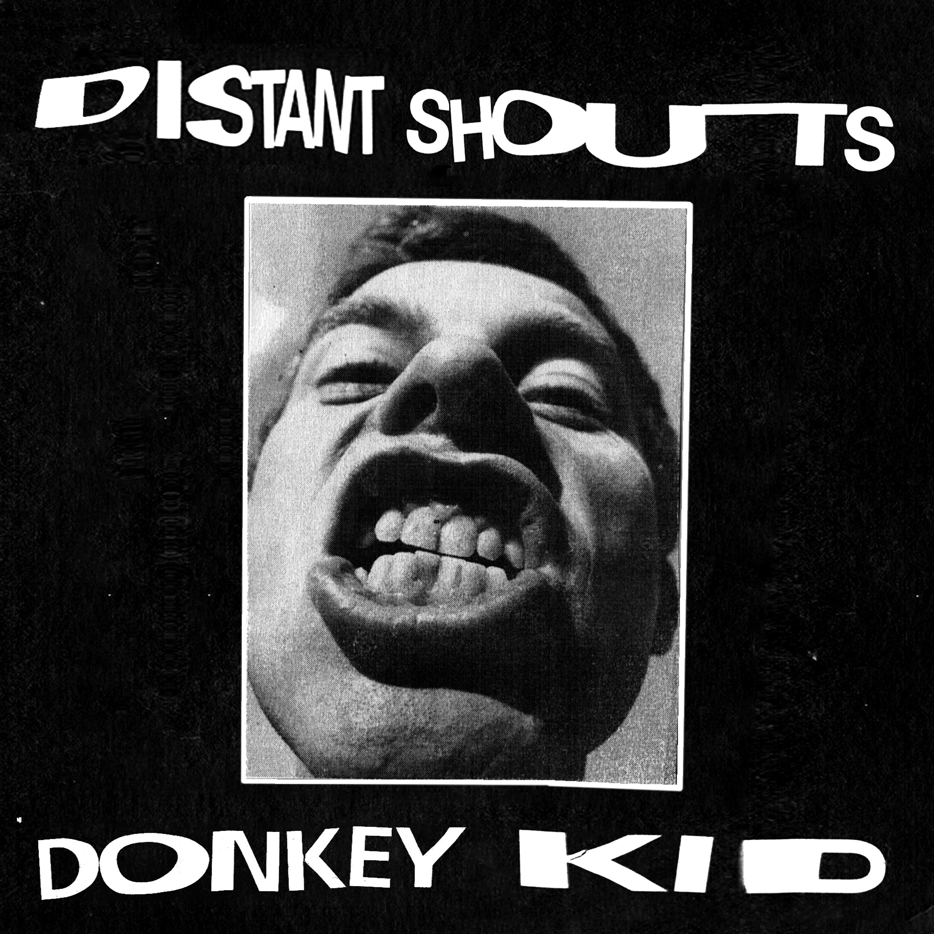 Постер альбома Distant Shouts