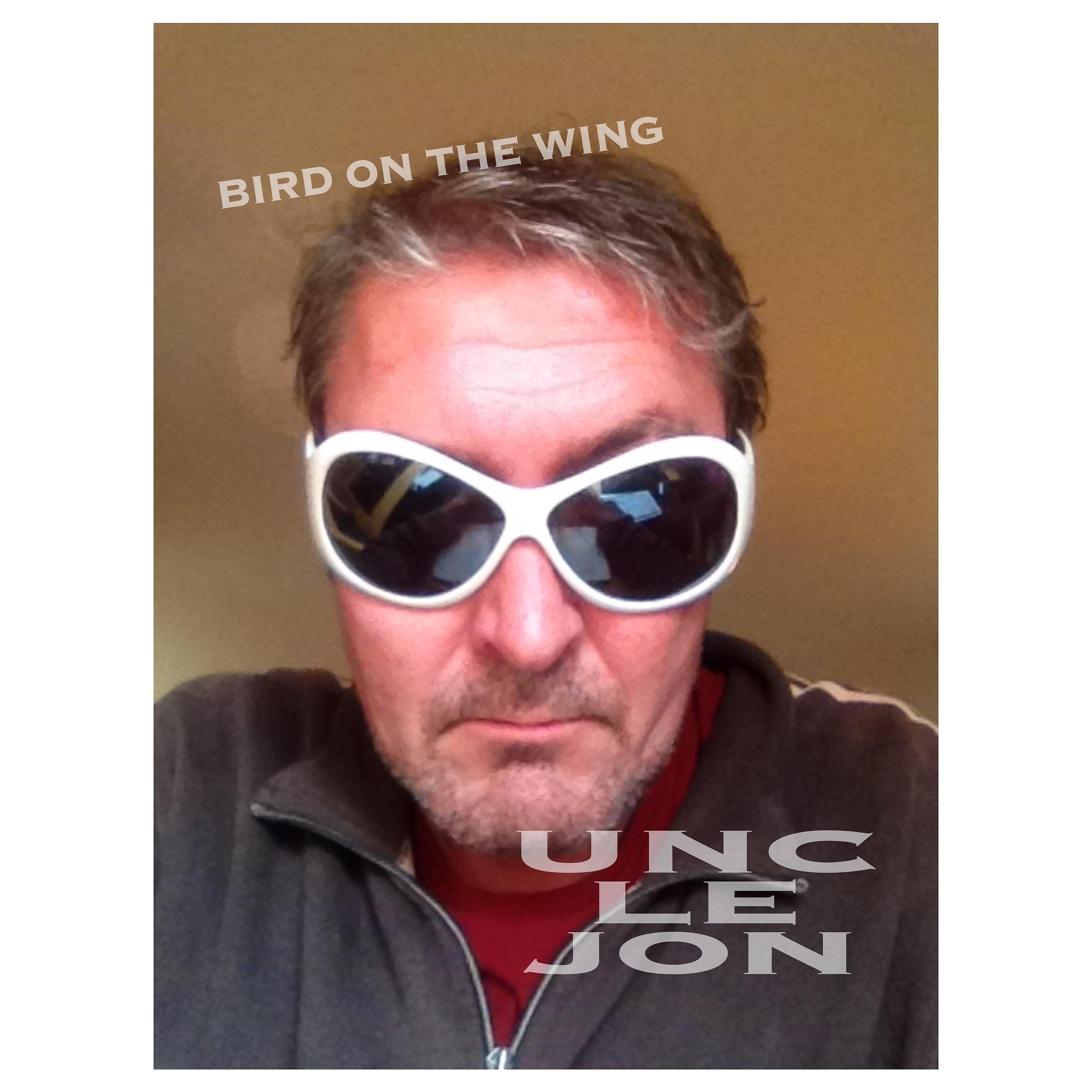 Постер альбома Bird On The Wing