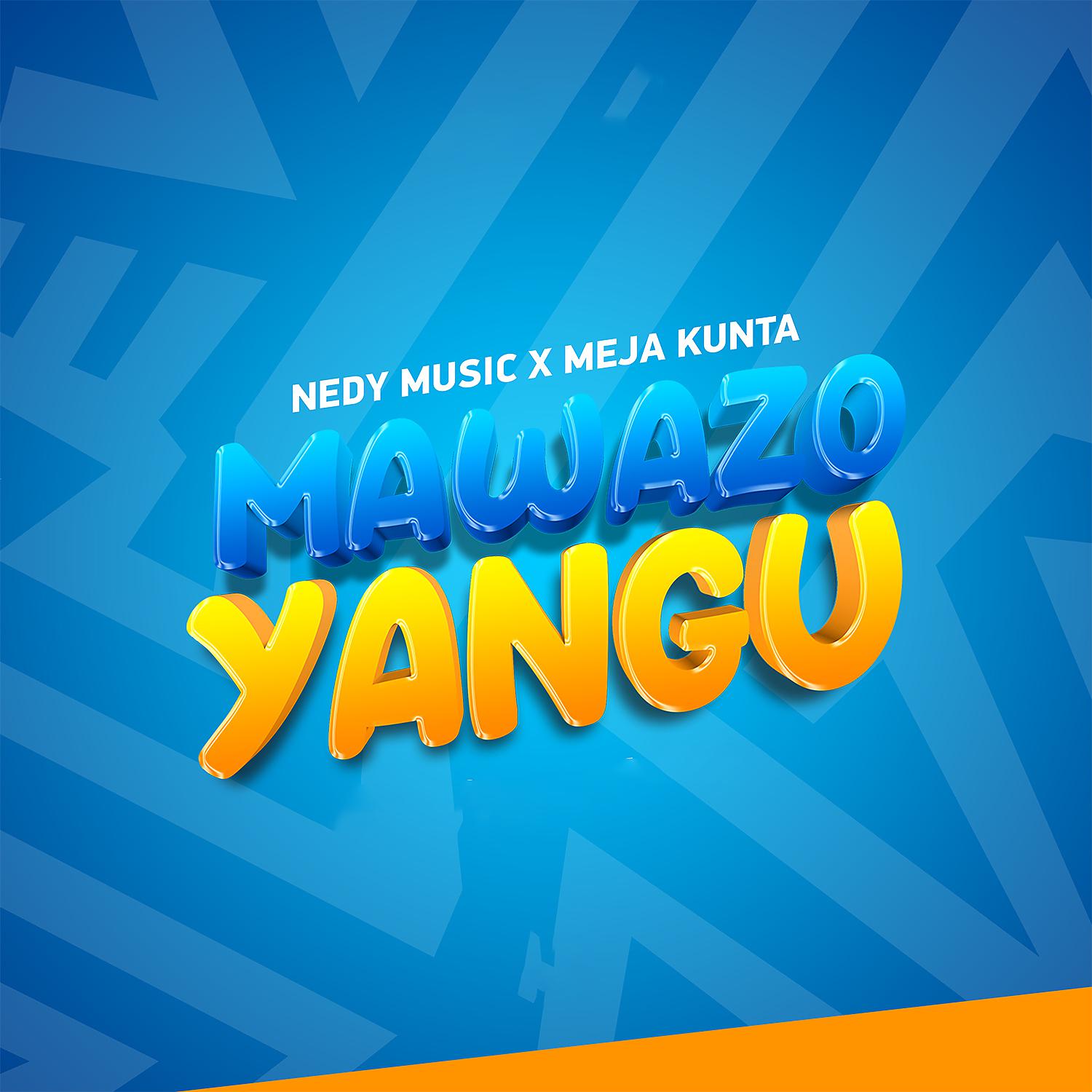 Постер альбома Mawazo Yangu