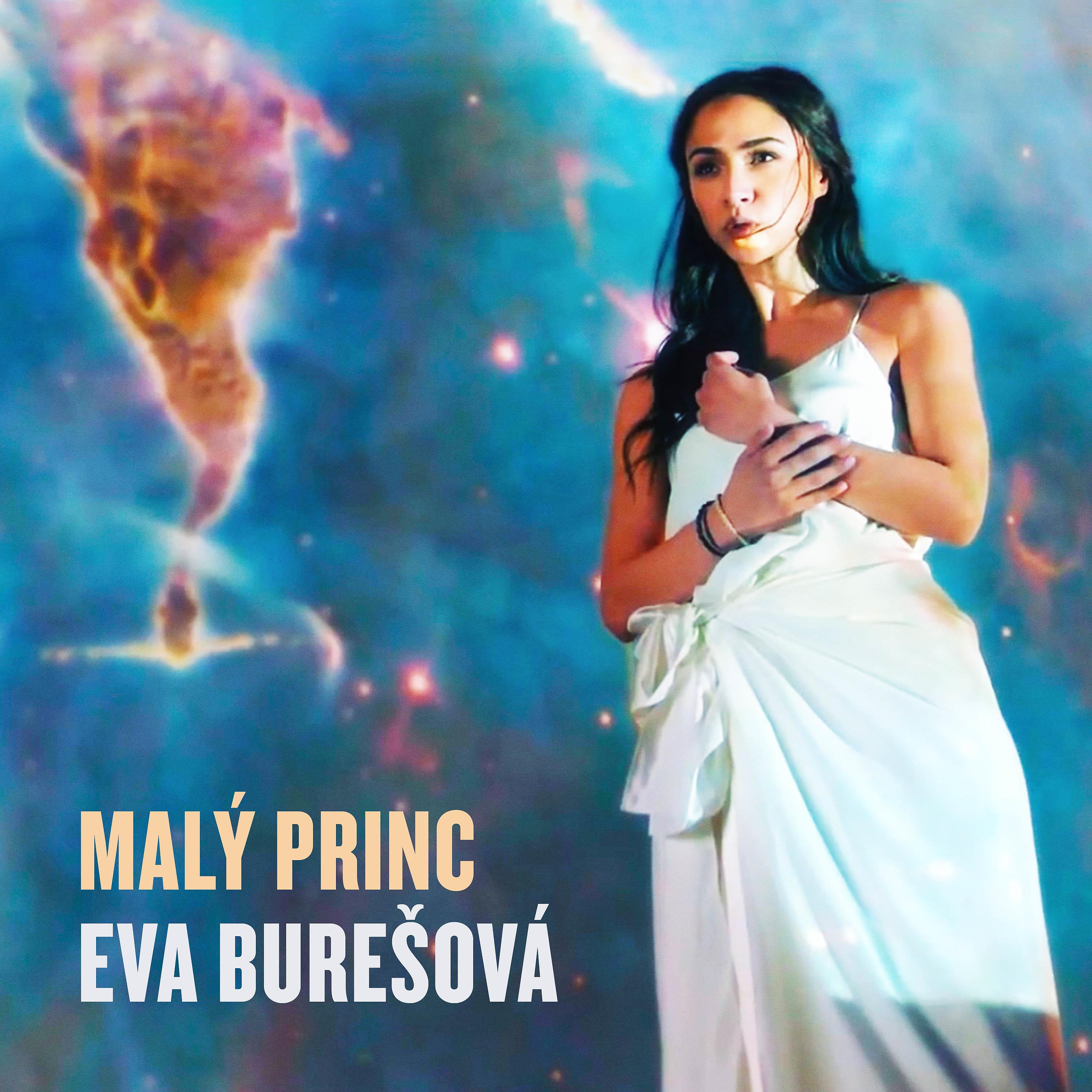 Постер альбома Malý princ
