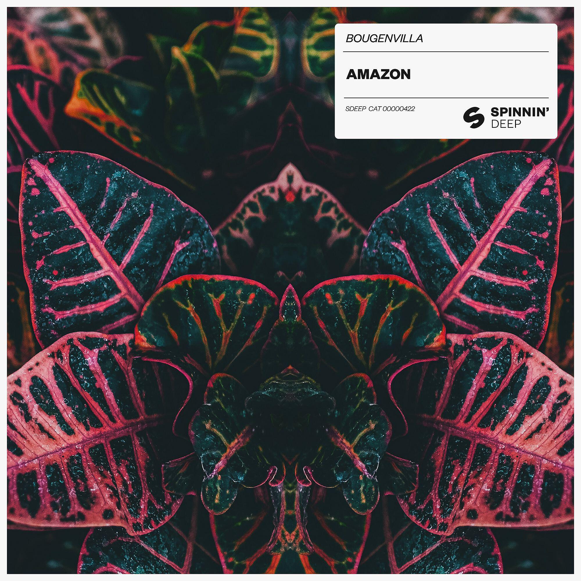 Bougenvilla - Amazon