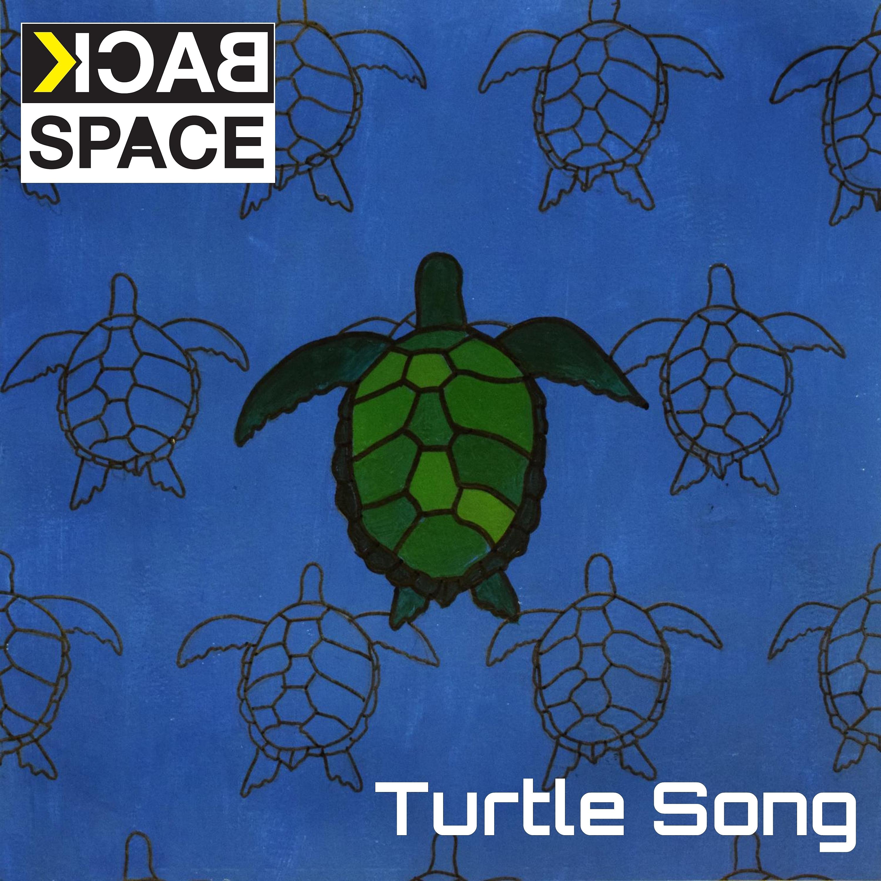 Постер альбома Turtle Song