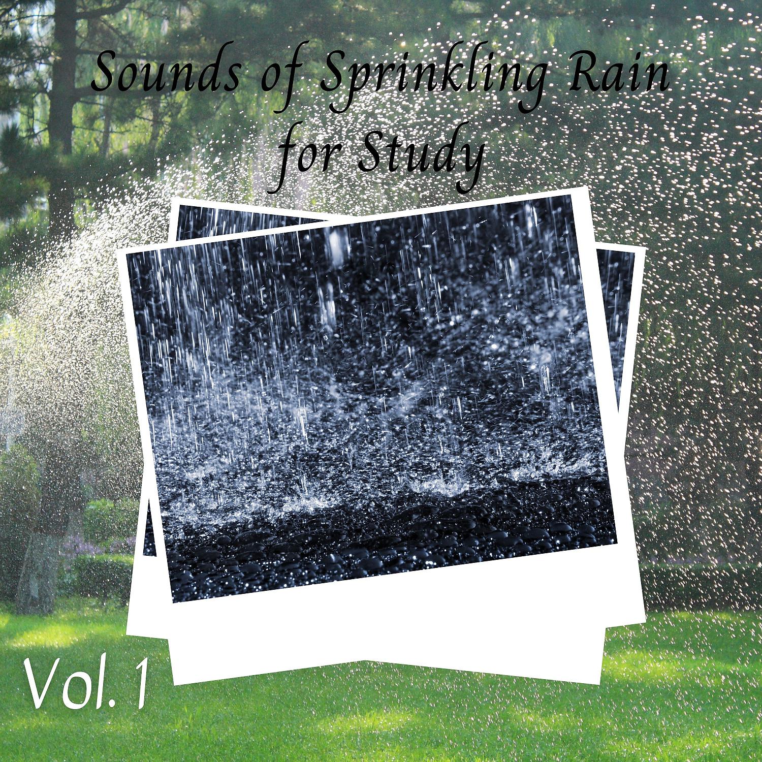 Постер альбома Sounds of Sprinkling Rain for Study Vol. 1