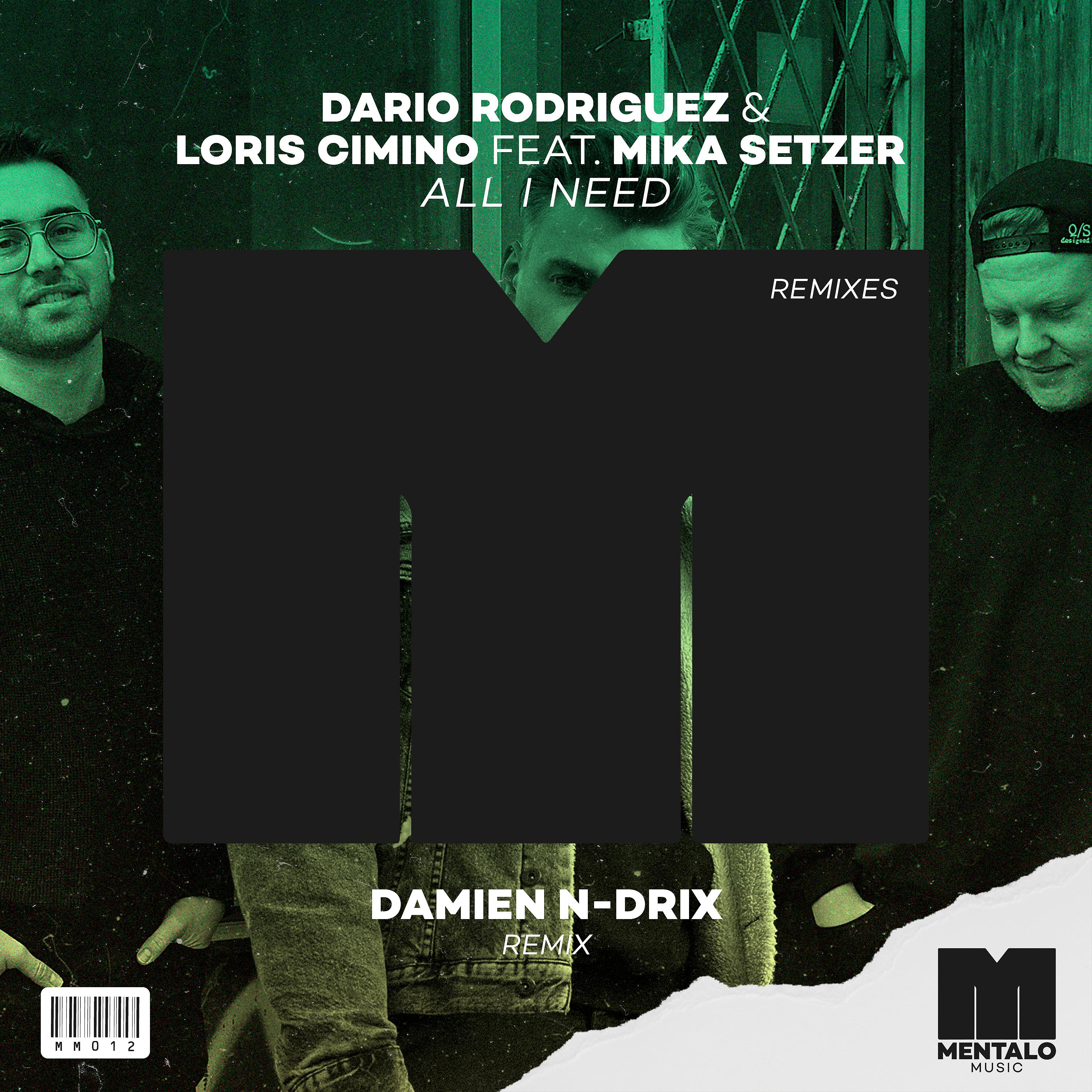 Постер альбома All I Need (feat. Mika Setzer) [Damien N-Drix Remix]