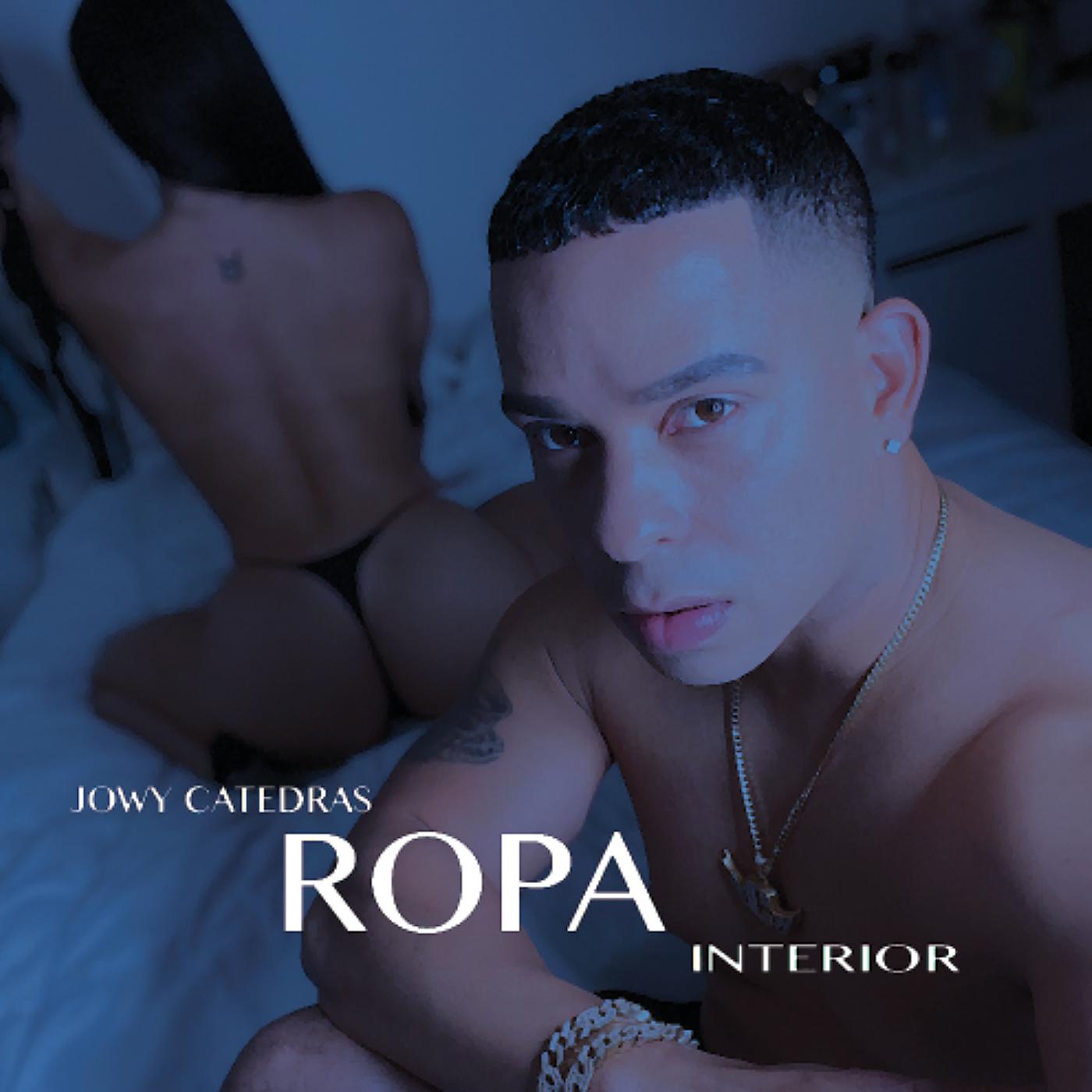 Постер альбома Ropa Interior