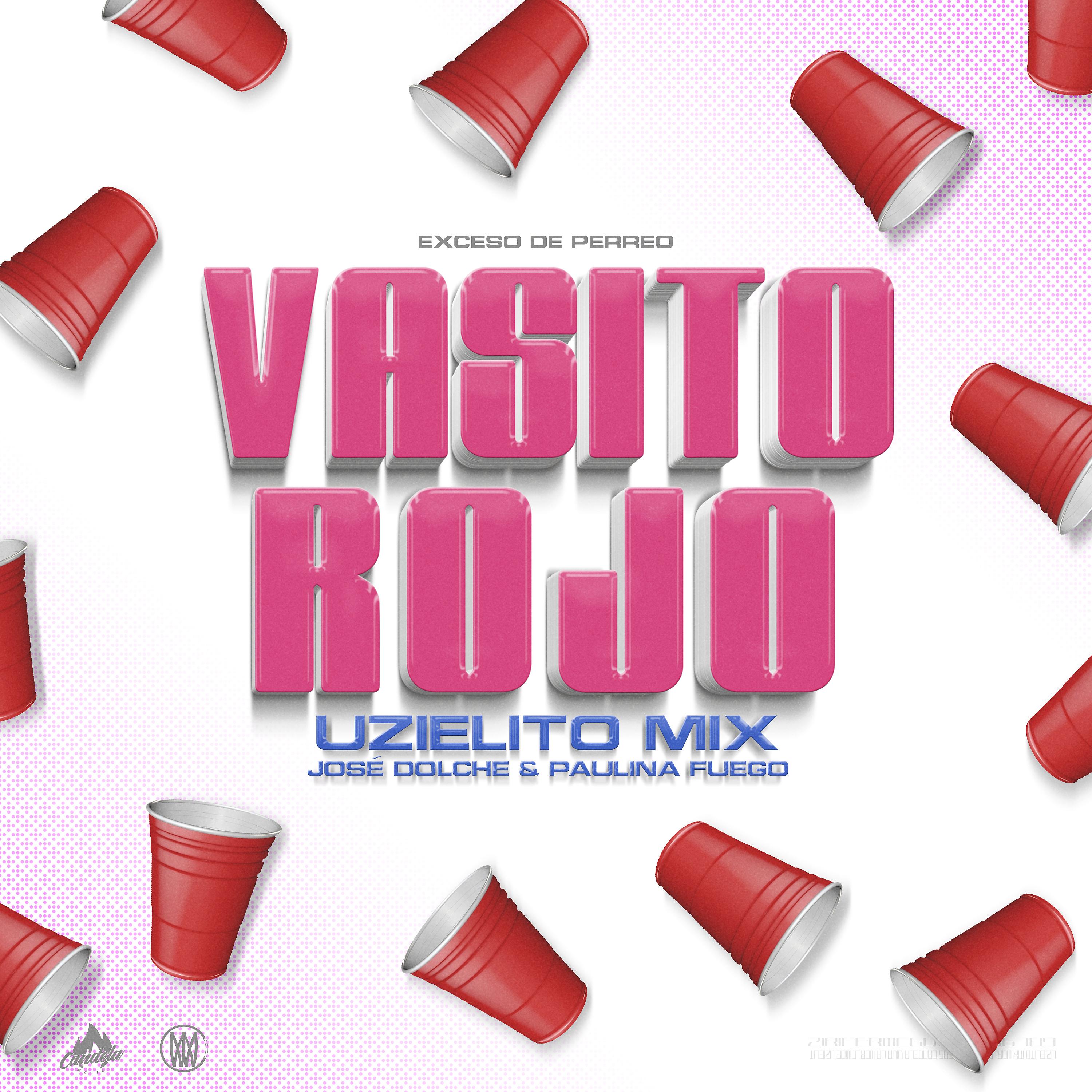 Постер альбома Vasito Rojo (feat. Jose Dolche & Paulina Fuego)