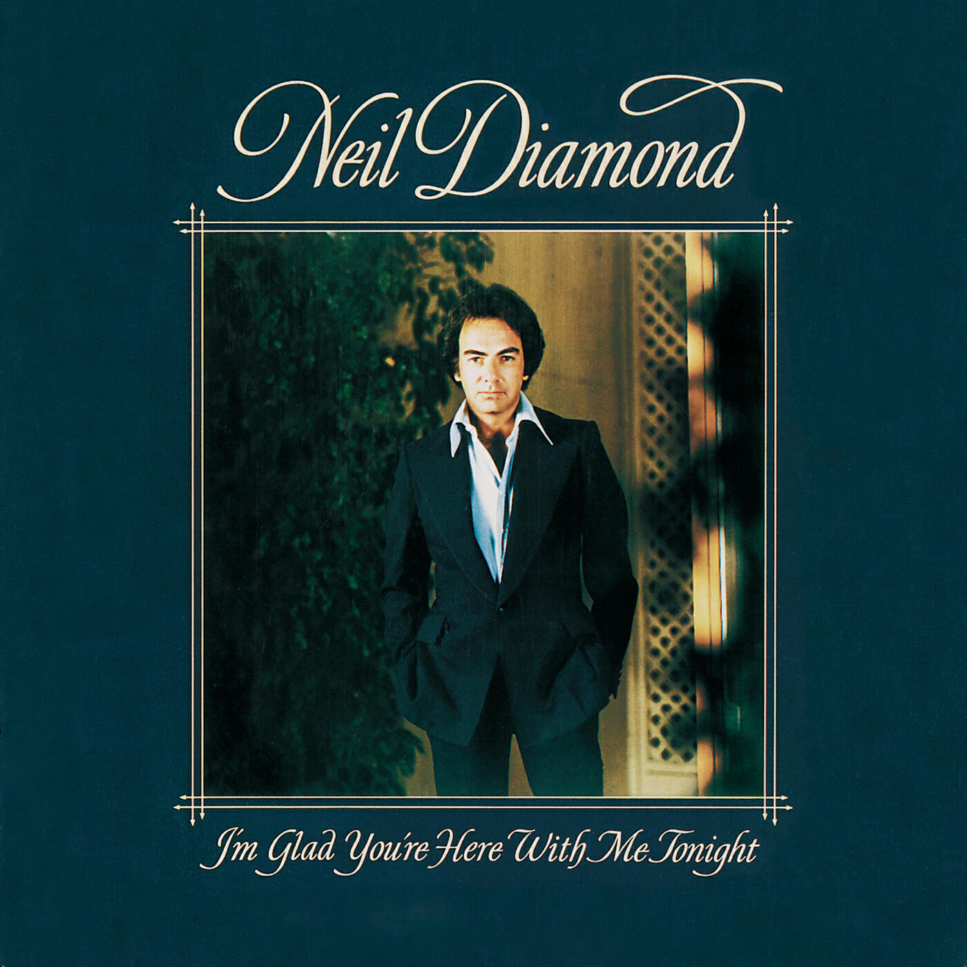 Neil Diamond - You Don't Bring Me Flowers (Solo Version)