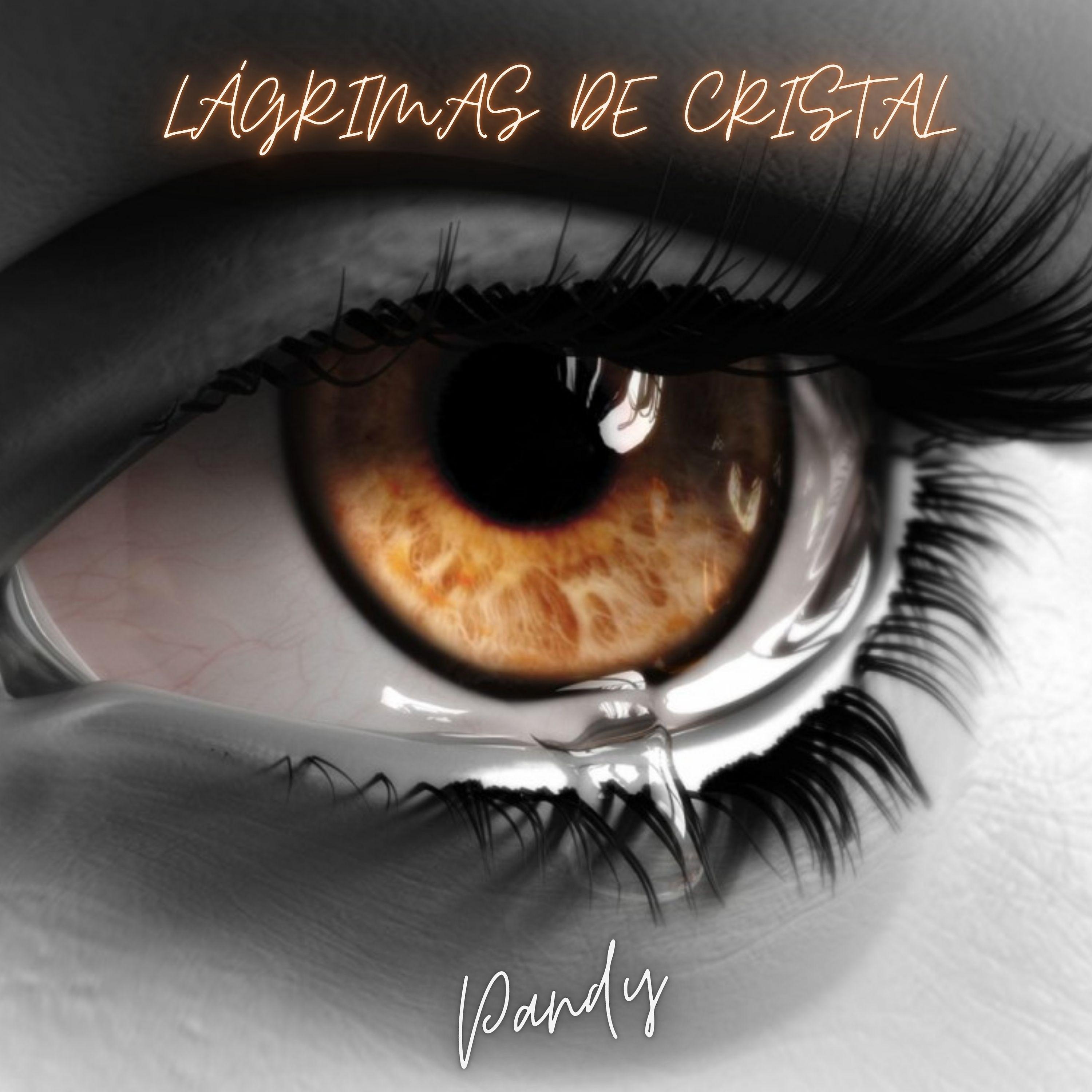 Постер альбома Lágrimas de cristal