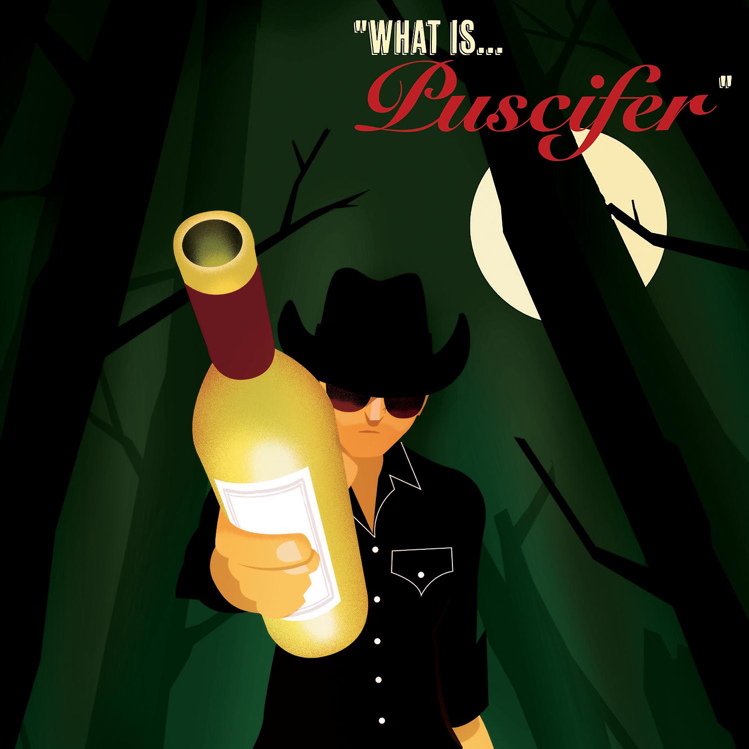 Постер альбома What Is... Puscifer (Live)