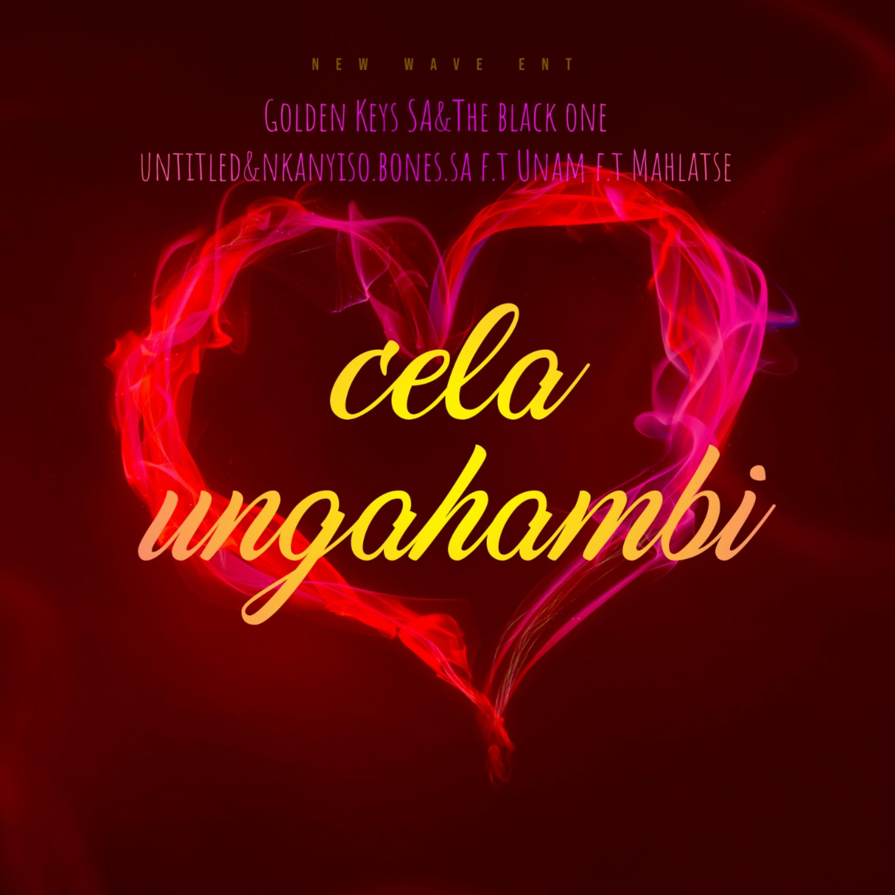 Постер альбома Cela Ungahambi