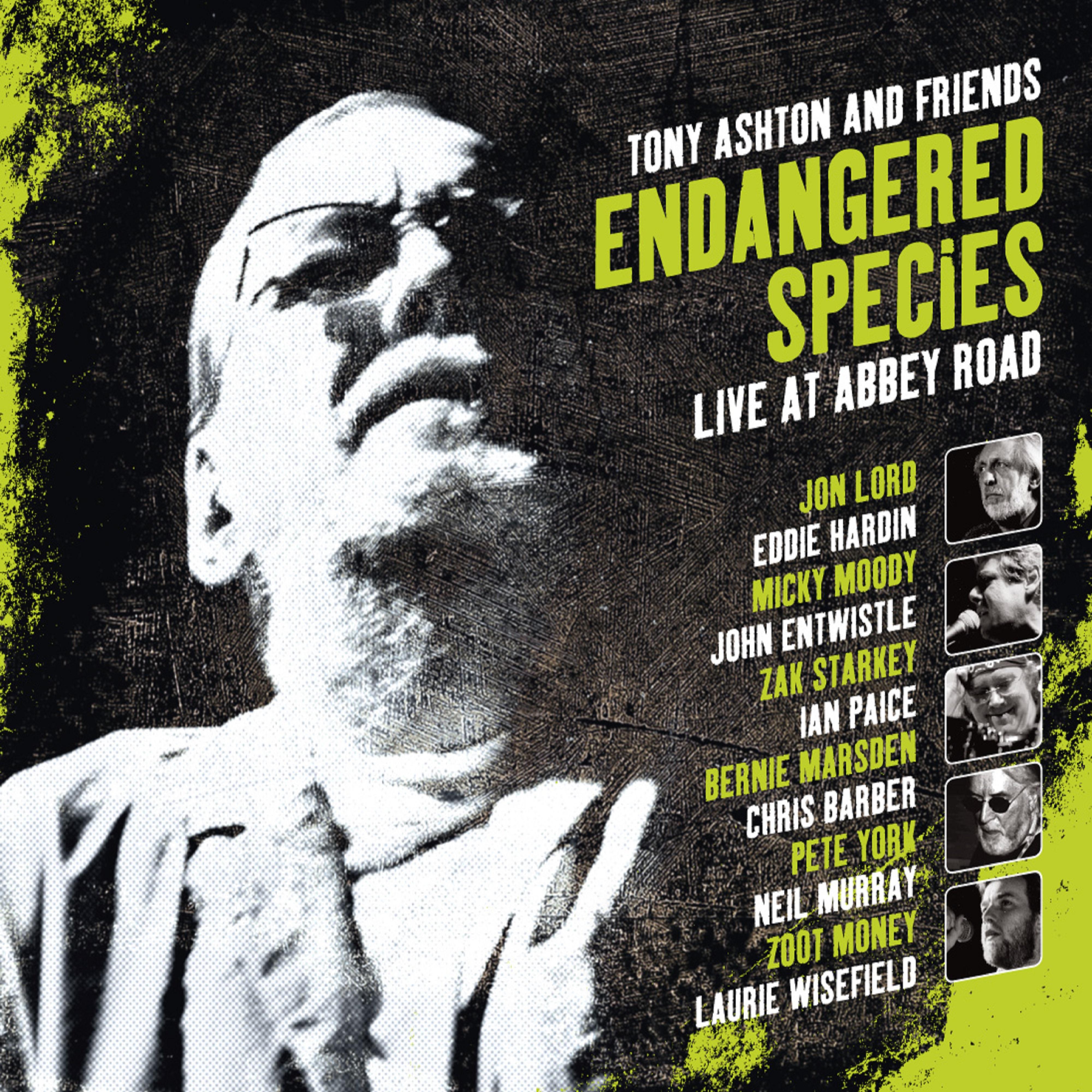 Постер альбома Endangered Species (Tony Ashton & Friends Live at Abbey Road)