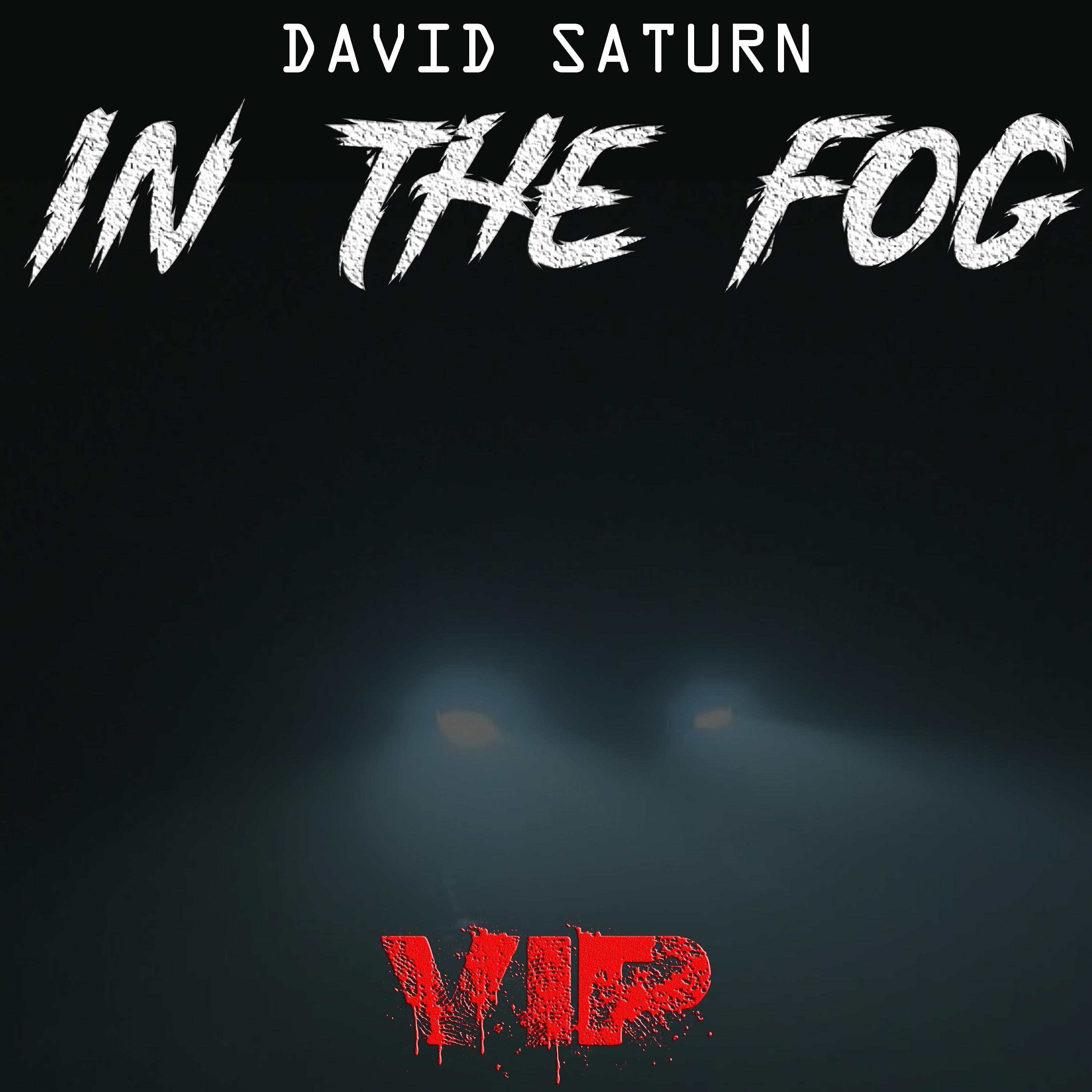 Постер альбома In The Fog VIP