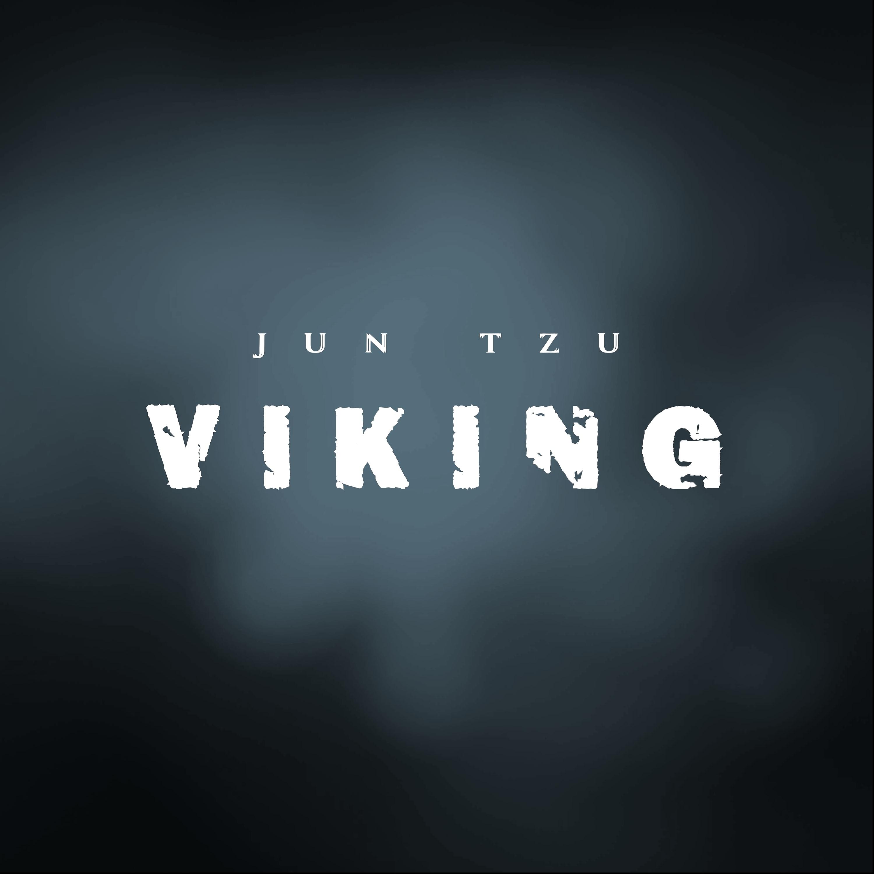 Постер альбома Viking