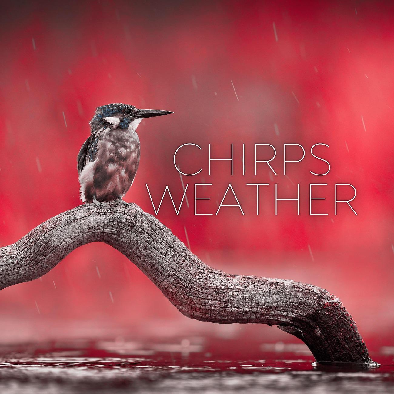 Постер альбома Chirps Weather