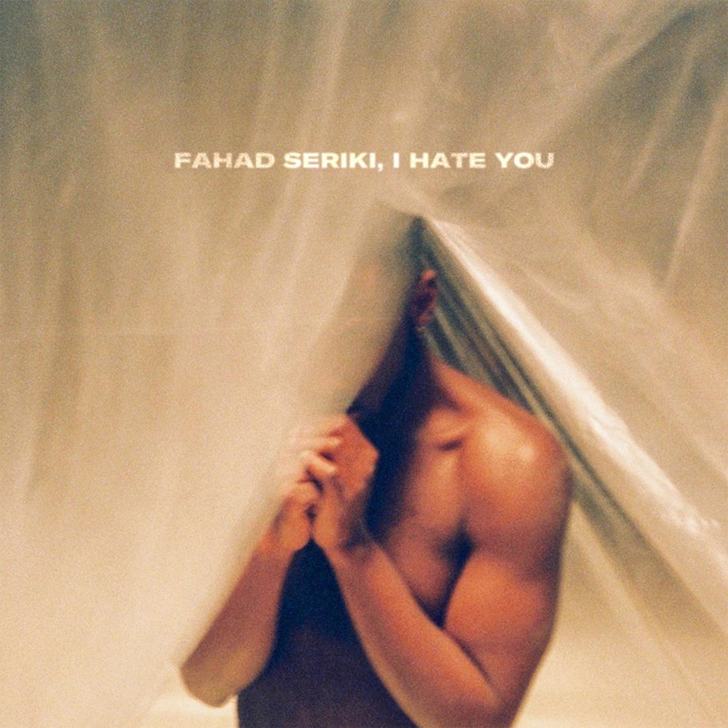 Постер альбома Fahad Seriki, I Hate You