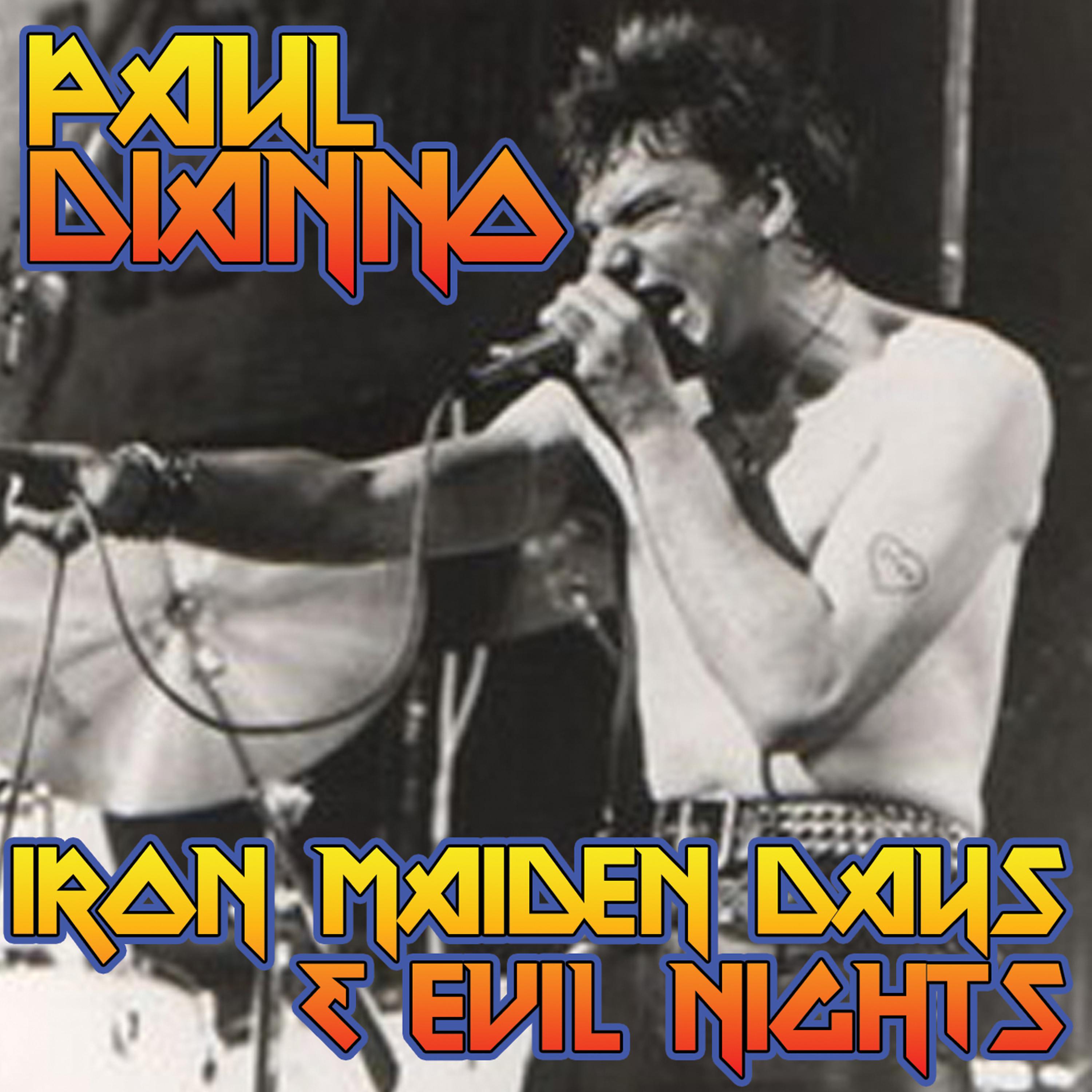 Постер альбома Iron Maiden Days & Evil Nights