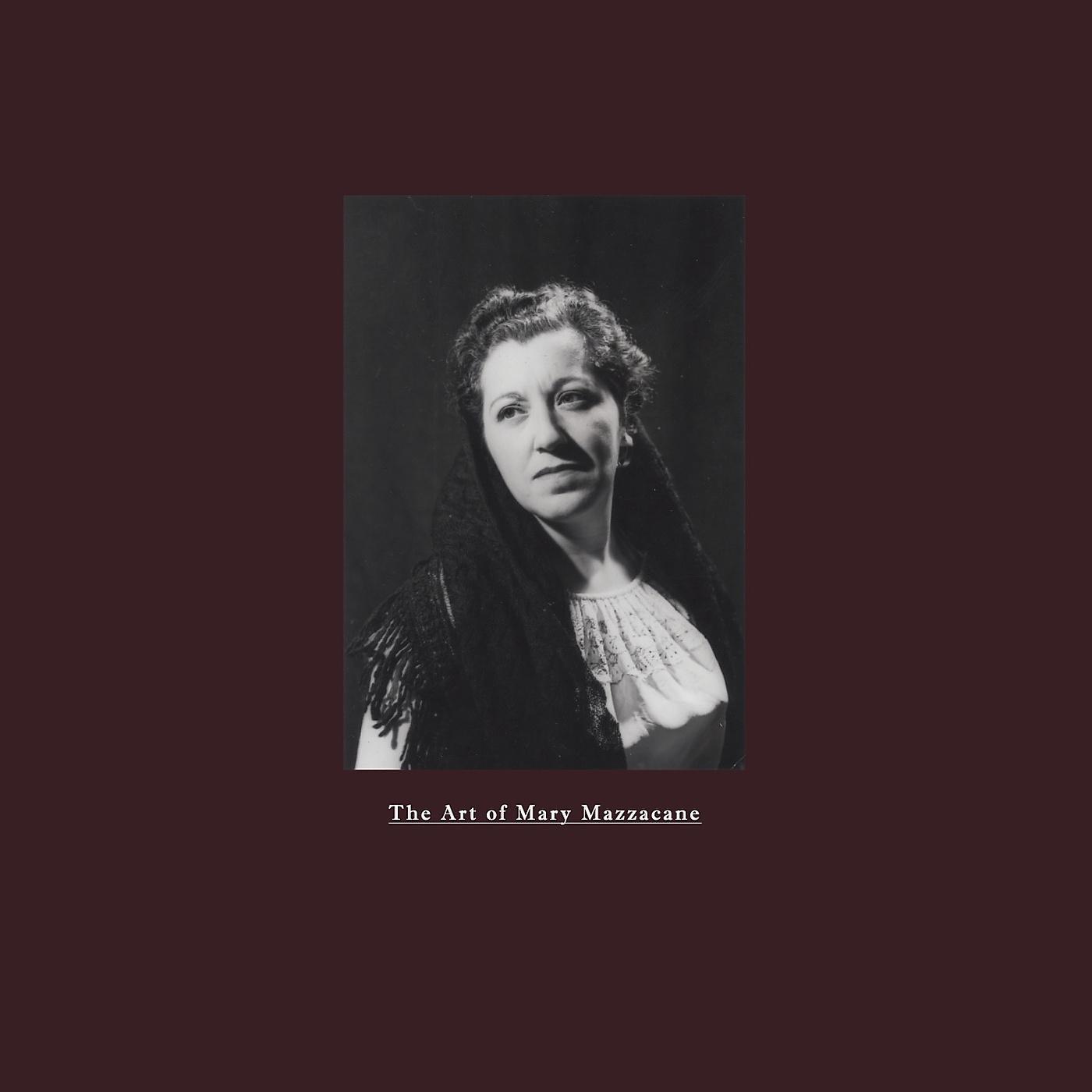 Постер альбома The Art of Mary Mazzacane