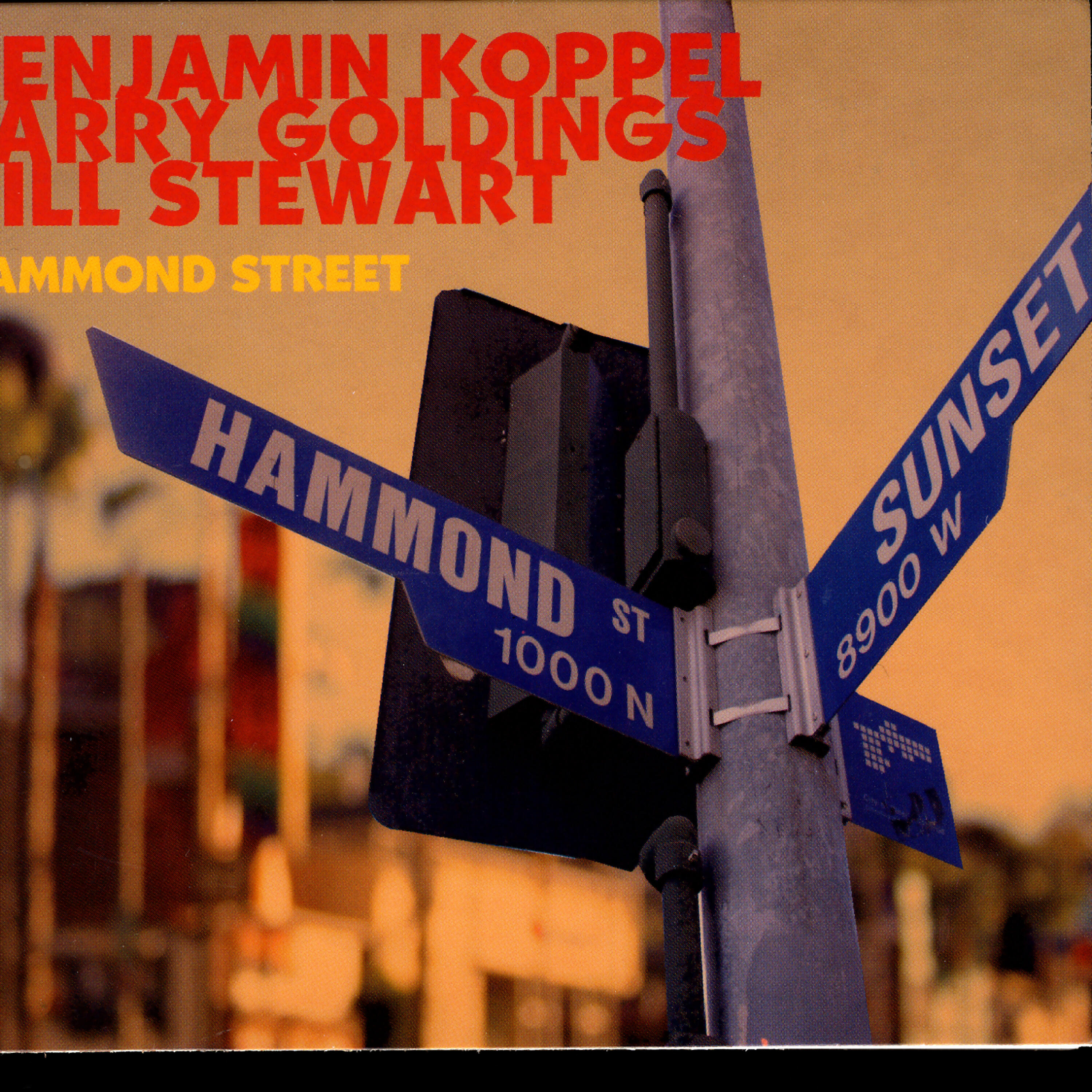 Benjamin Koppel - Make Sure You're Sure