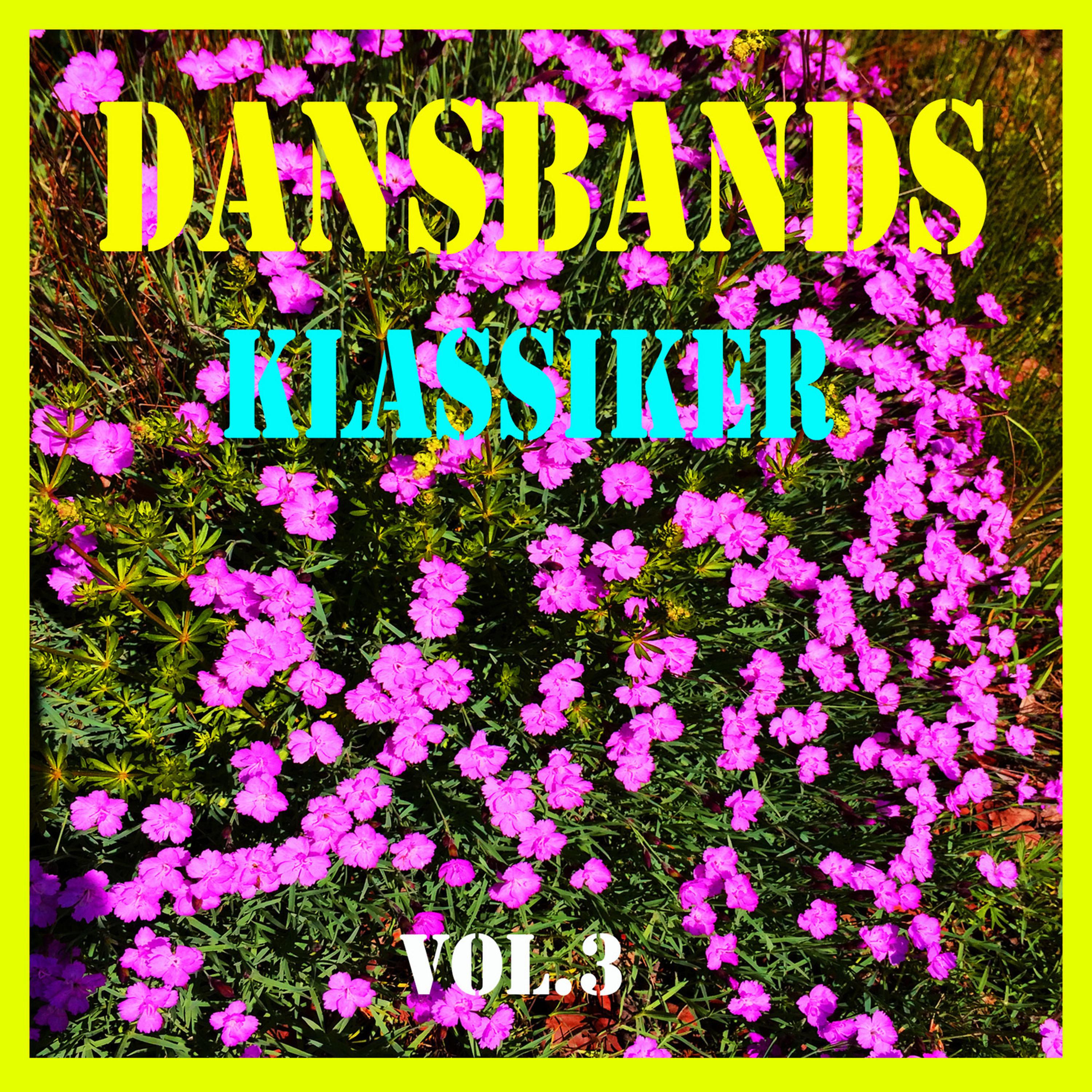 Постер альбома Dansbands klassiker, Vol. 3