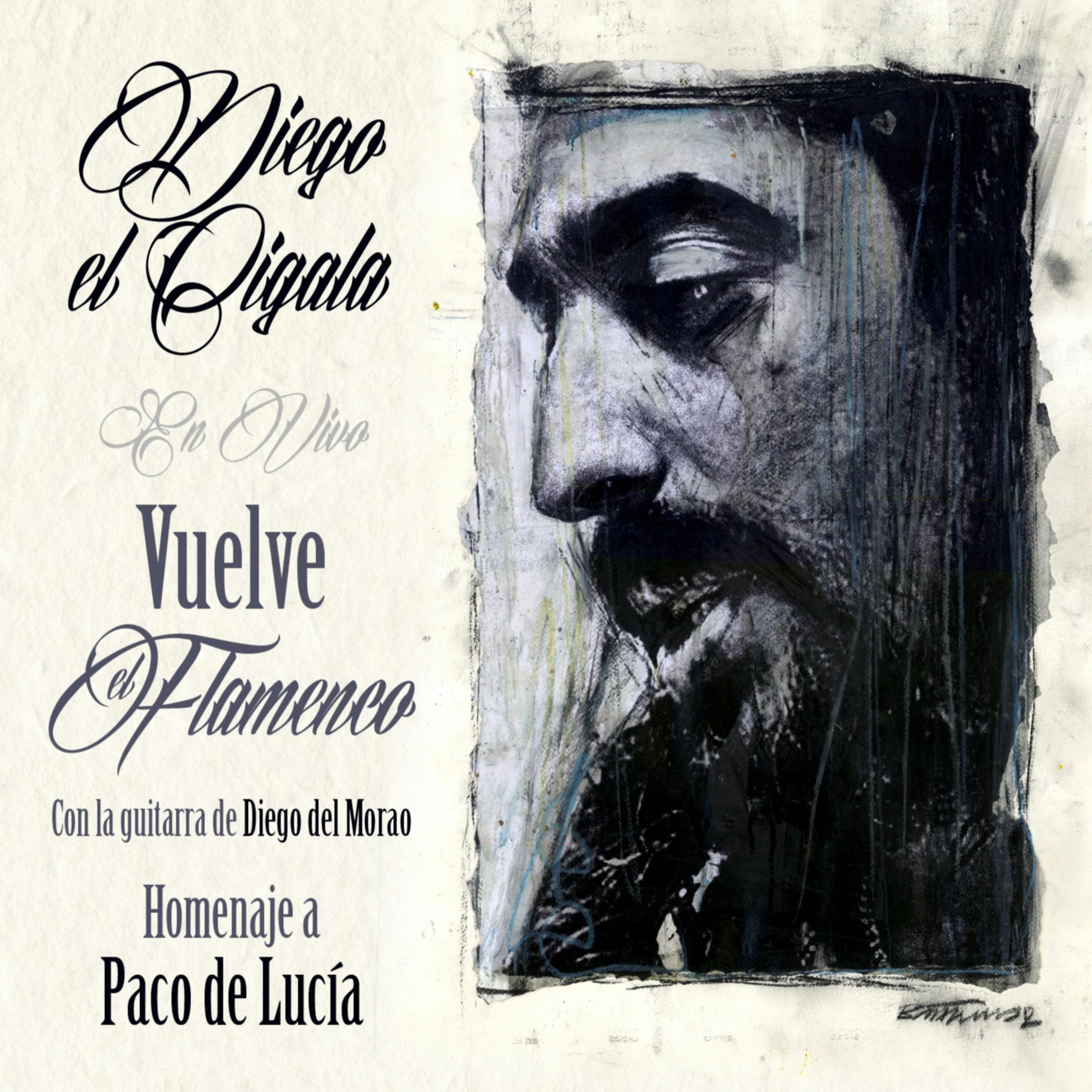 Постер альбома Vuelve el Flameco: Homenaje a Paco de Lucía