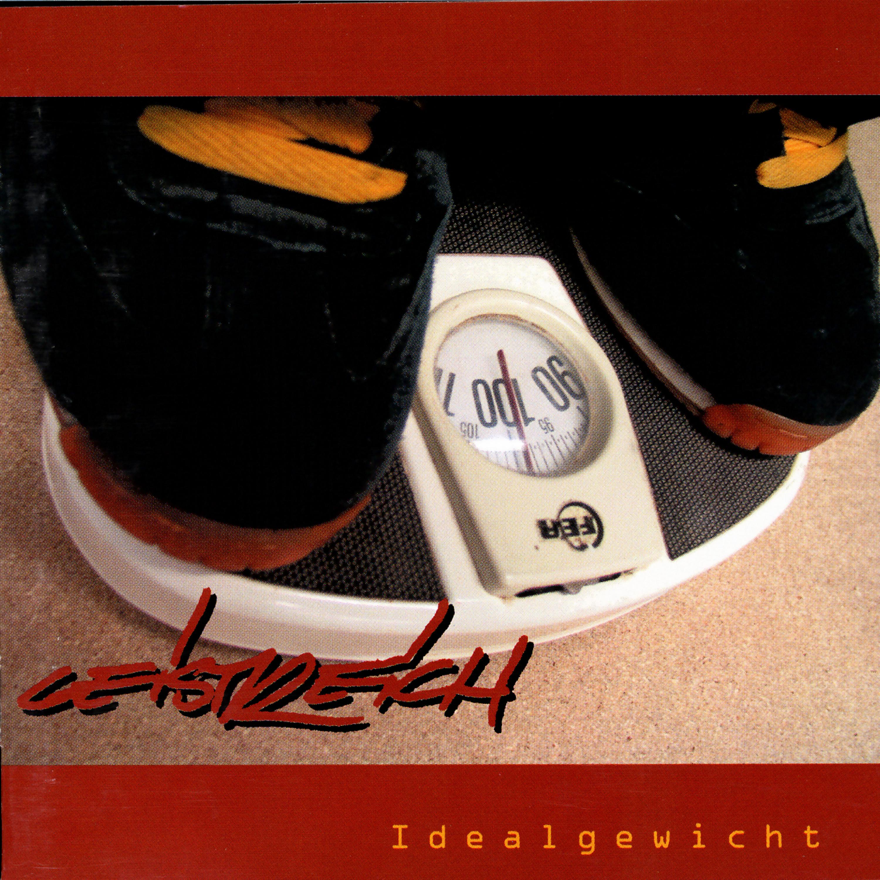 Постер альбома Idealgewicht