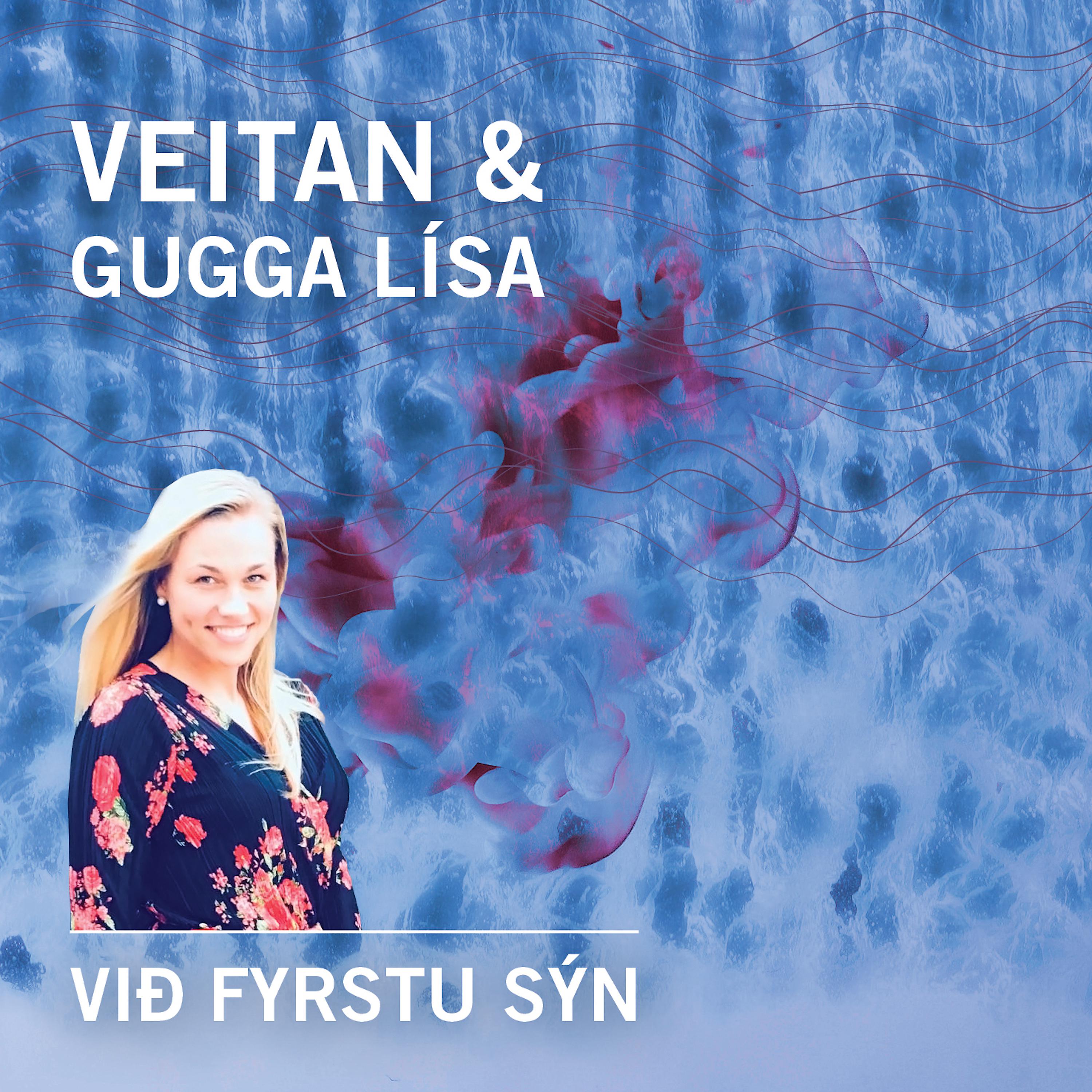 Постер альбома Við fyrstu sýn